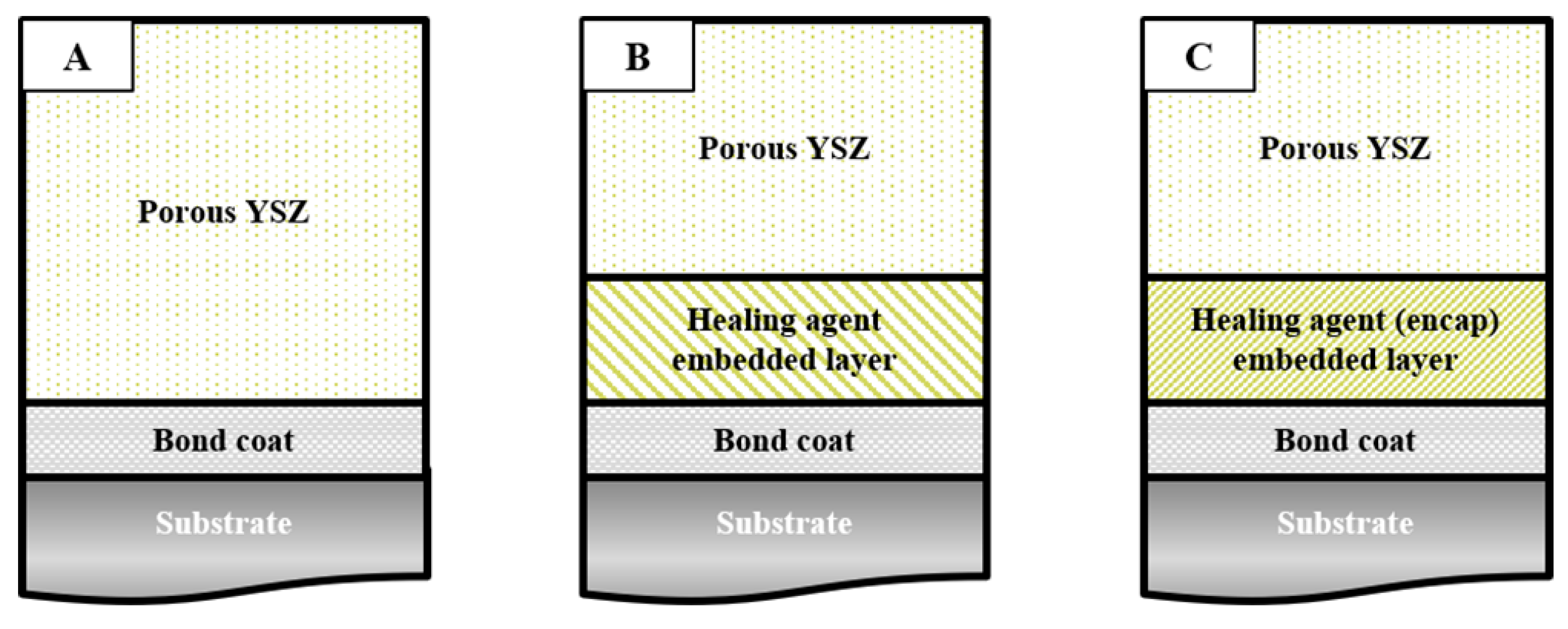 Coatings 09 00358 g002