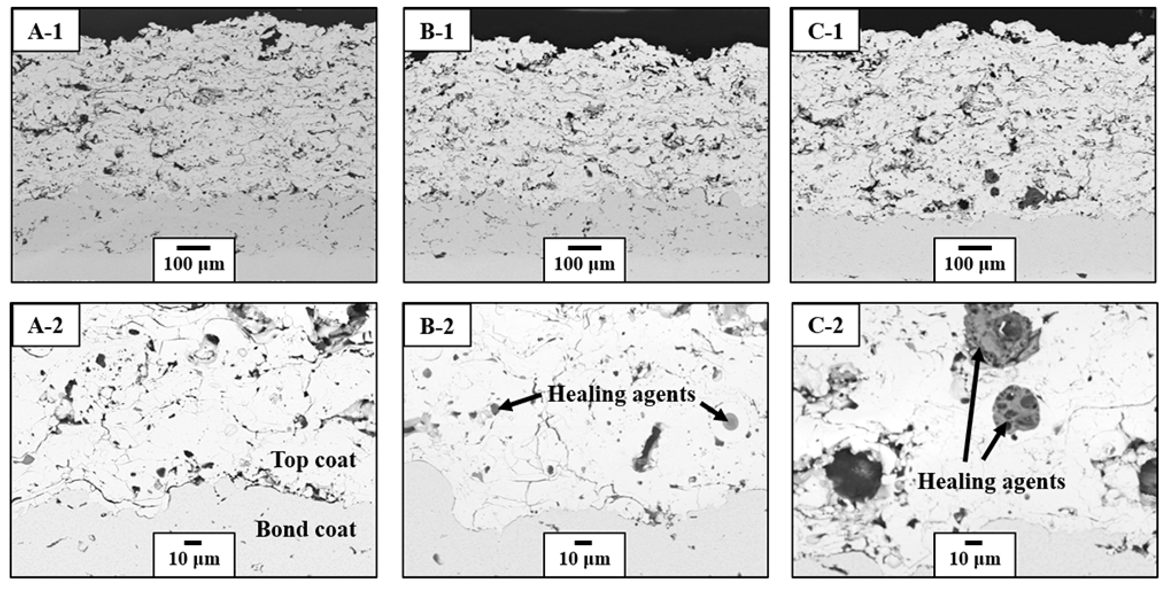 Coatings 09 00358 g006