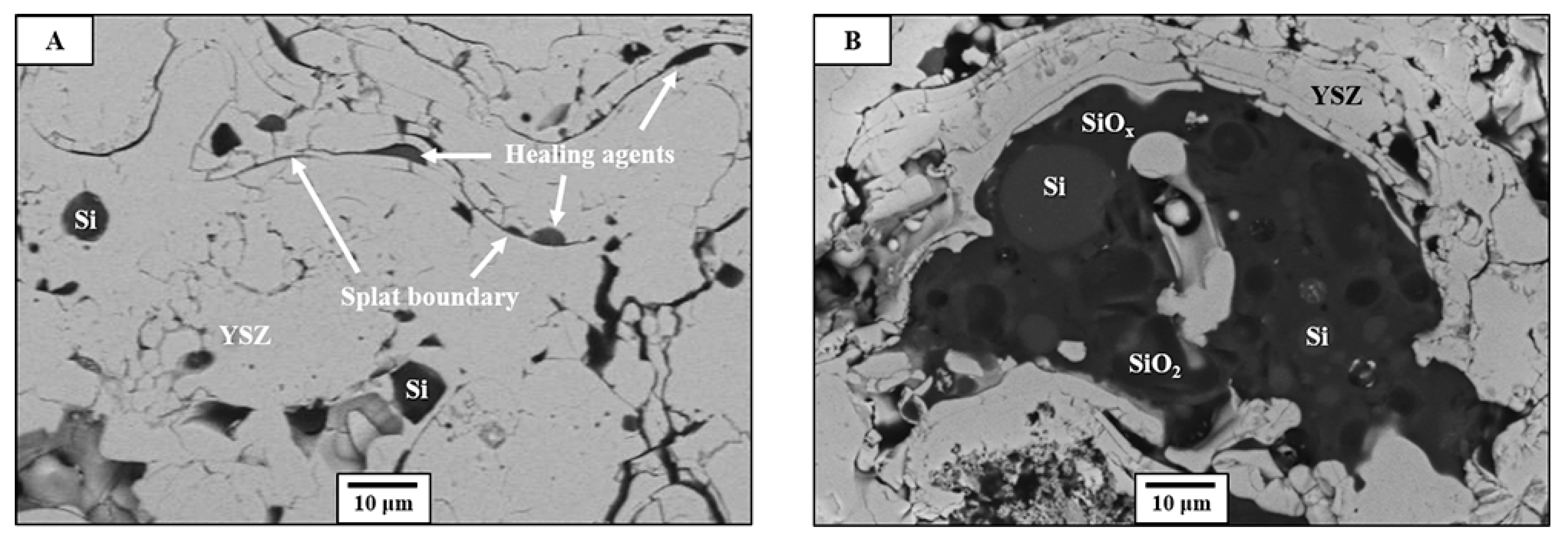 Coatings 09 00358 g007