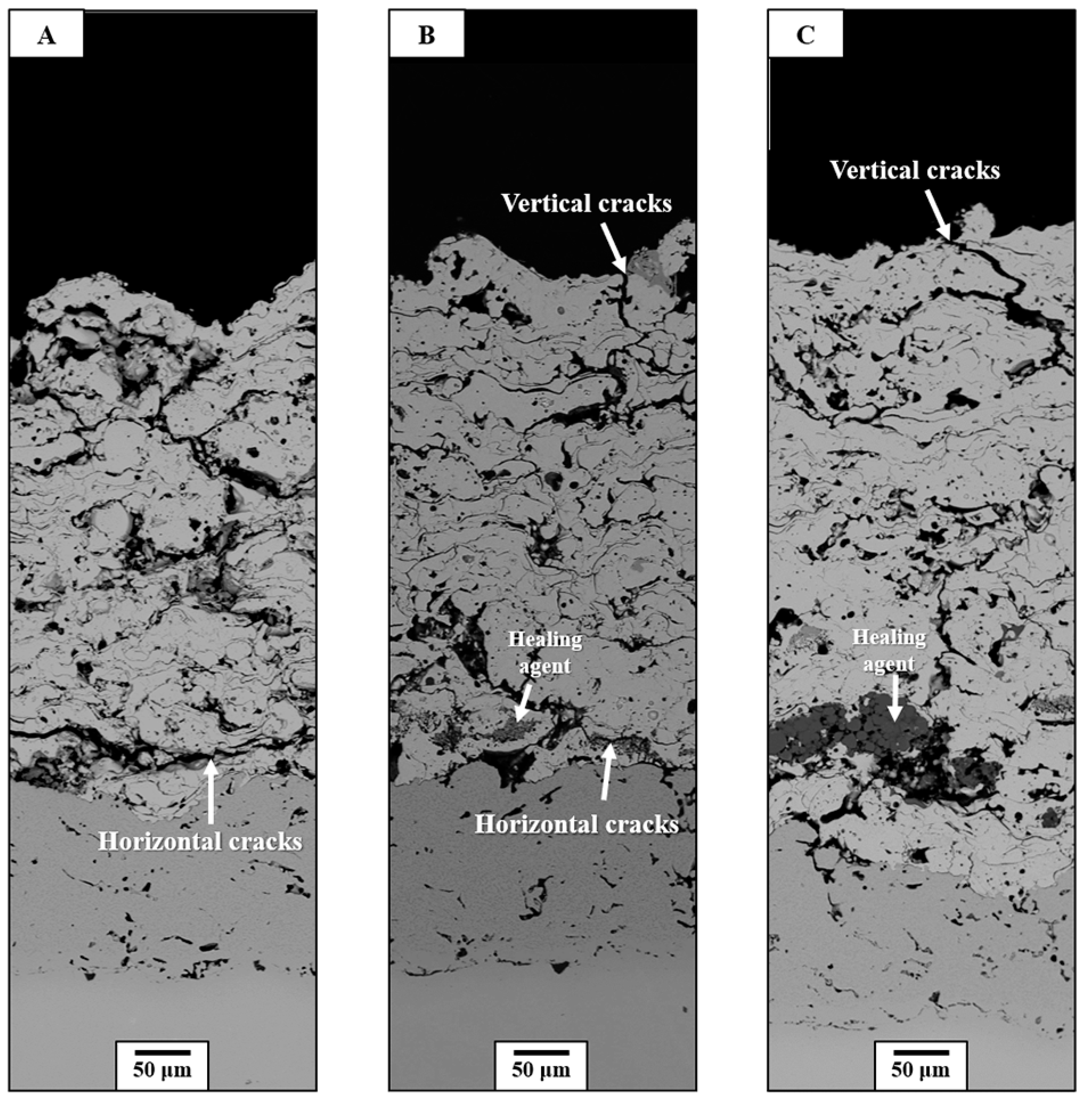 Coatings 09 00358 g009