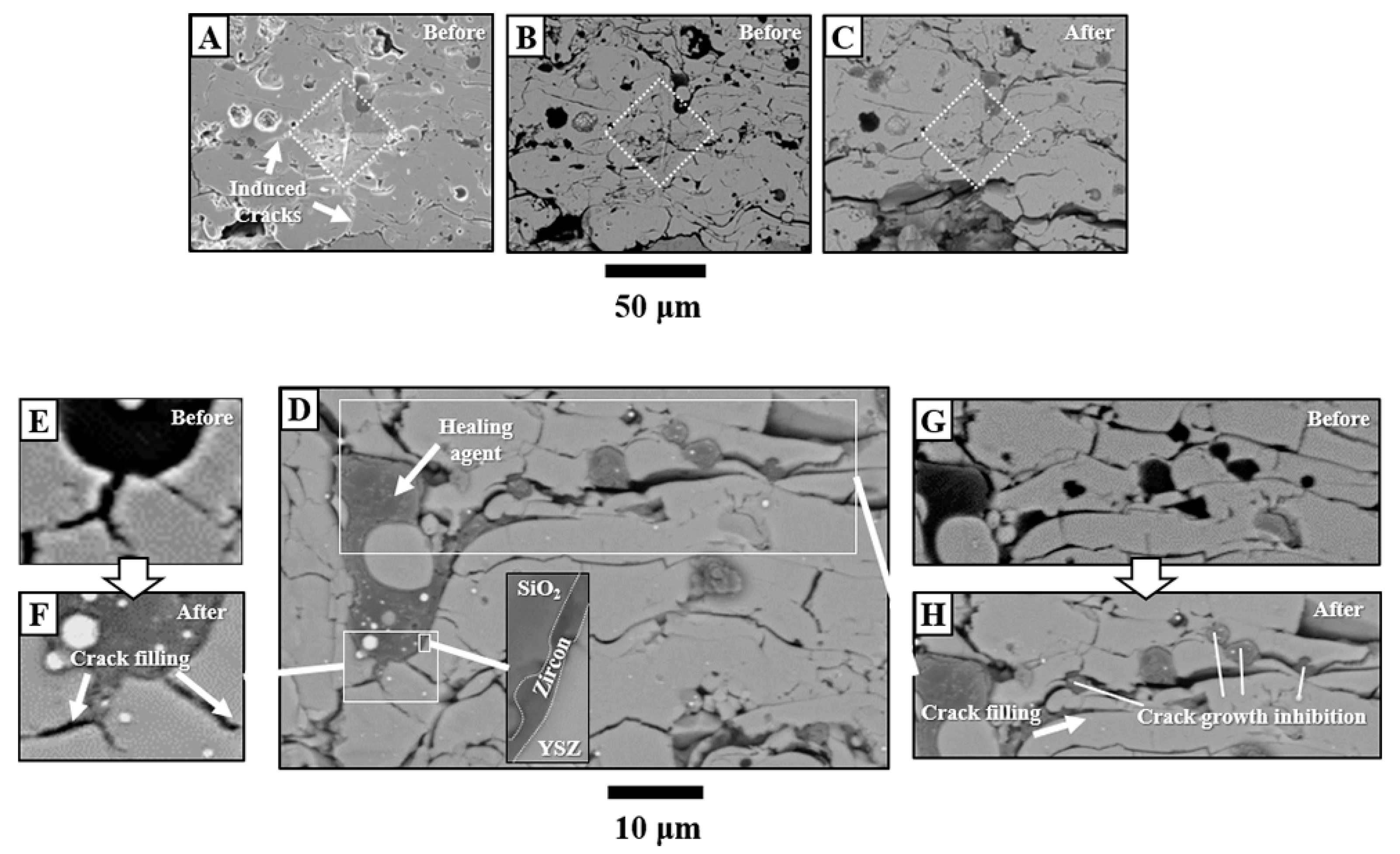 Coatings 09 00358 g010