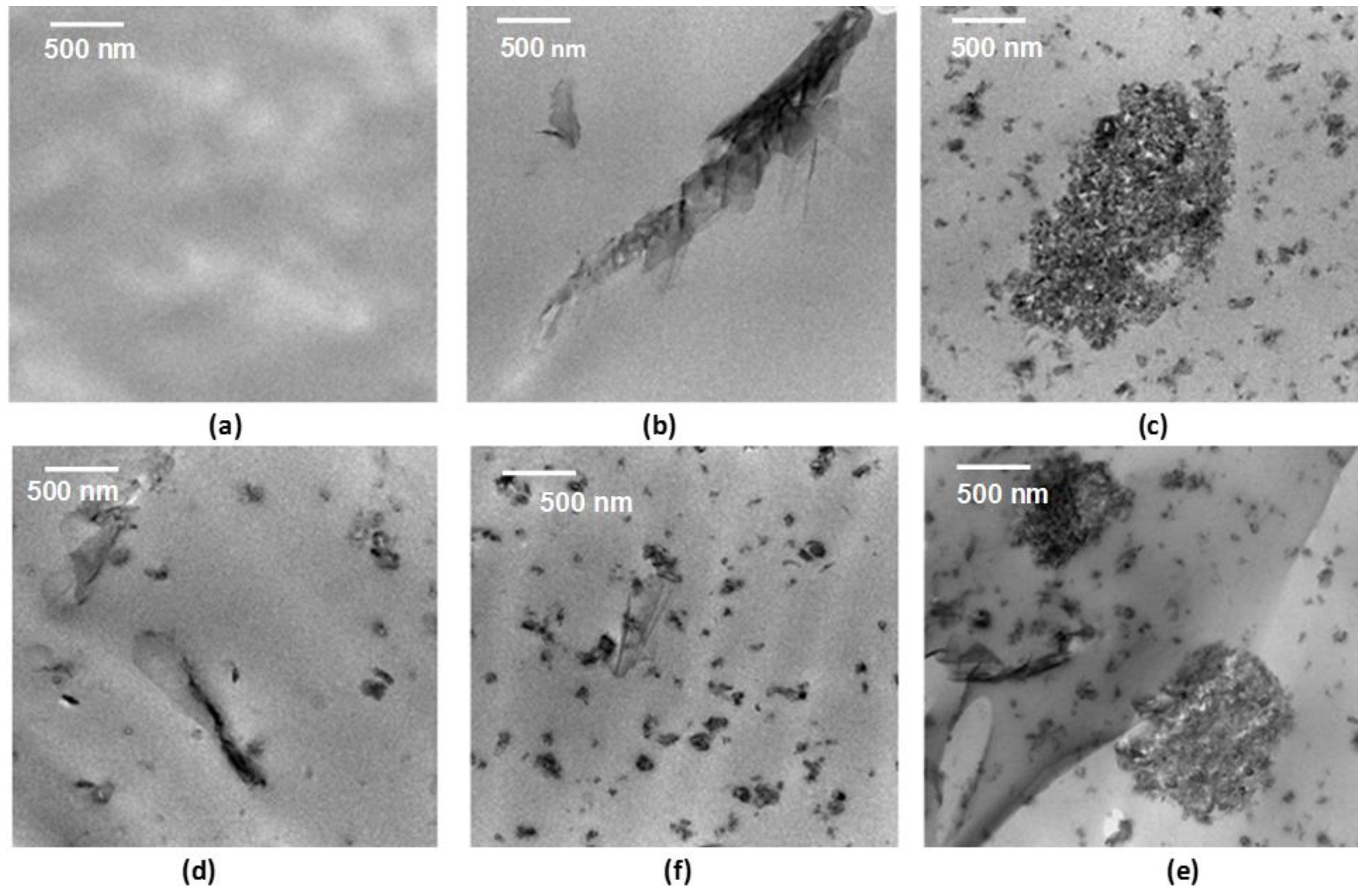 Coatings 09 00359 g001