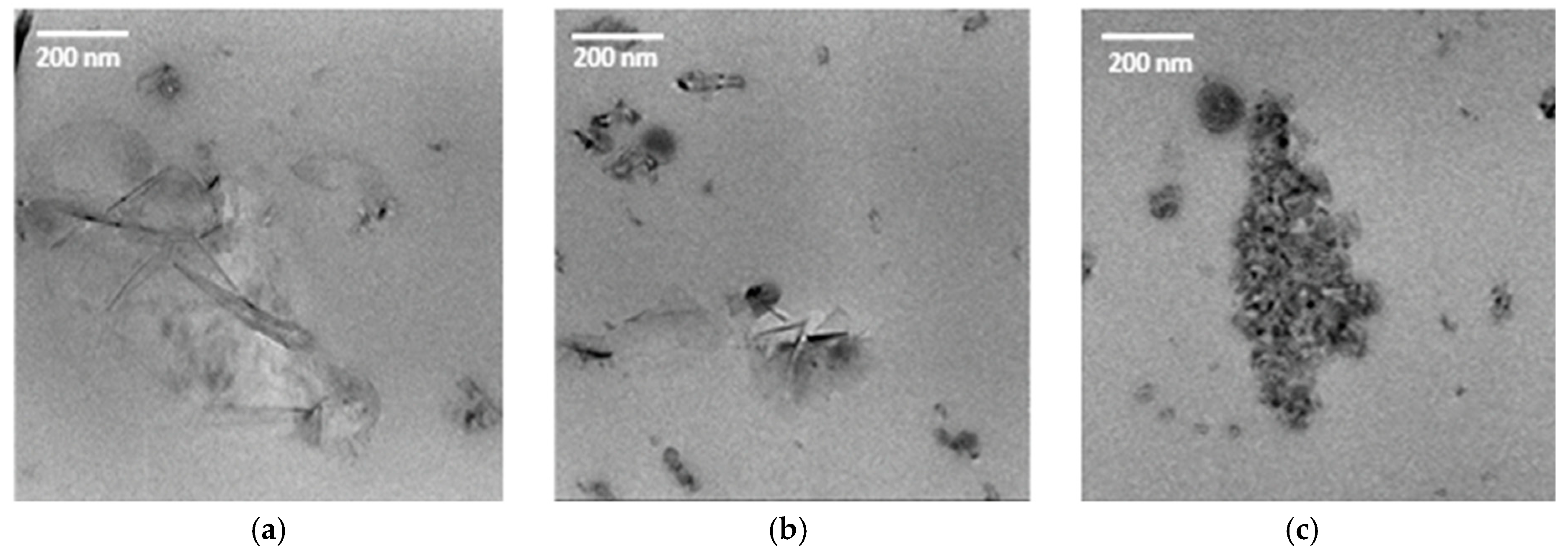 Coatings 09 00359 g002