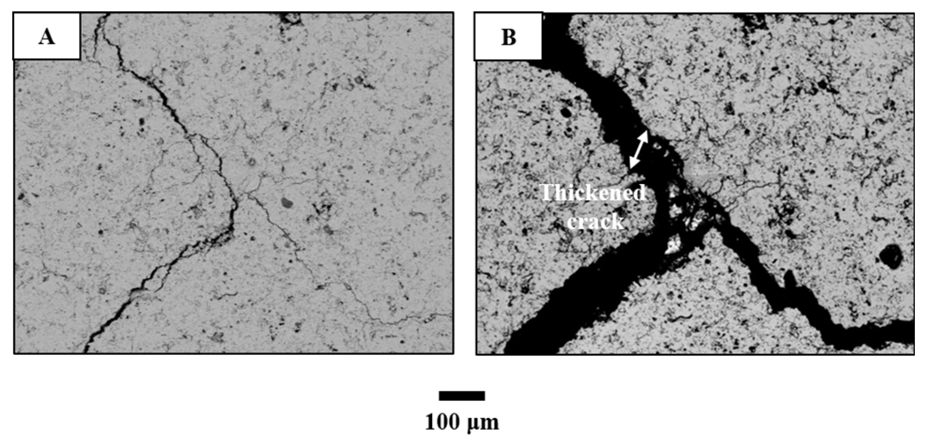 Coatings 09 00365 g005 Coatings 09 00365 g005