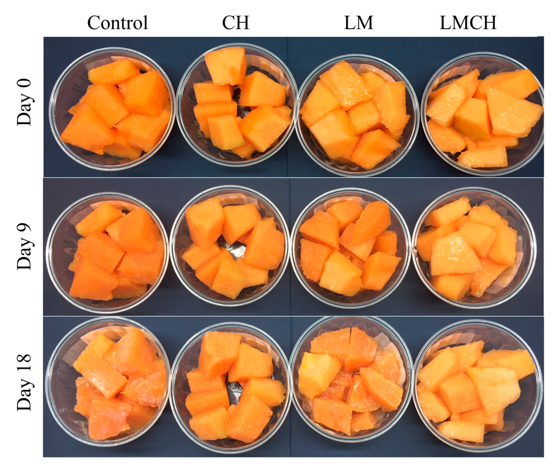 Coatings 09 00368 g006