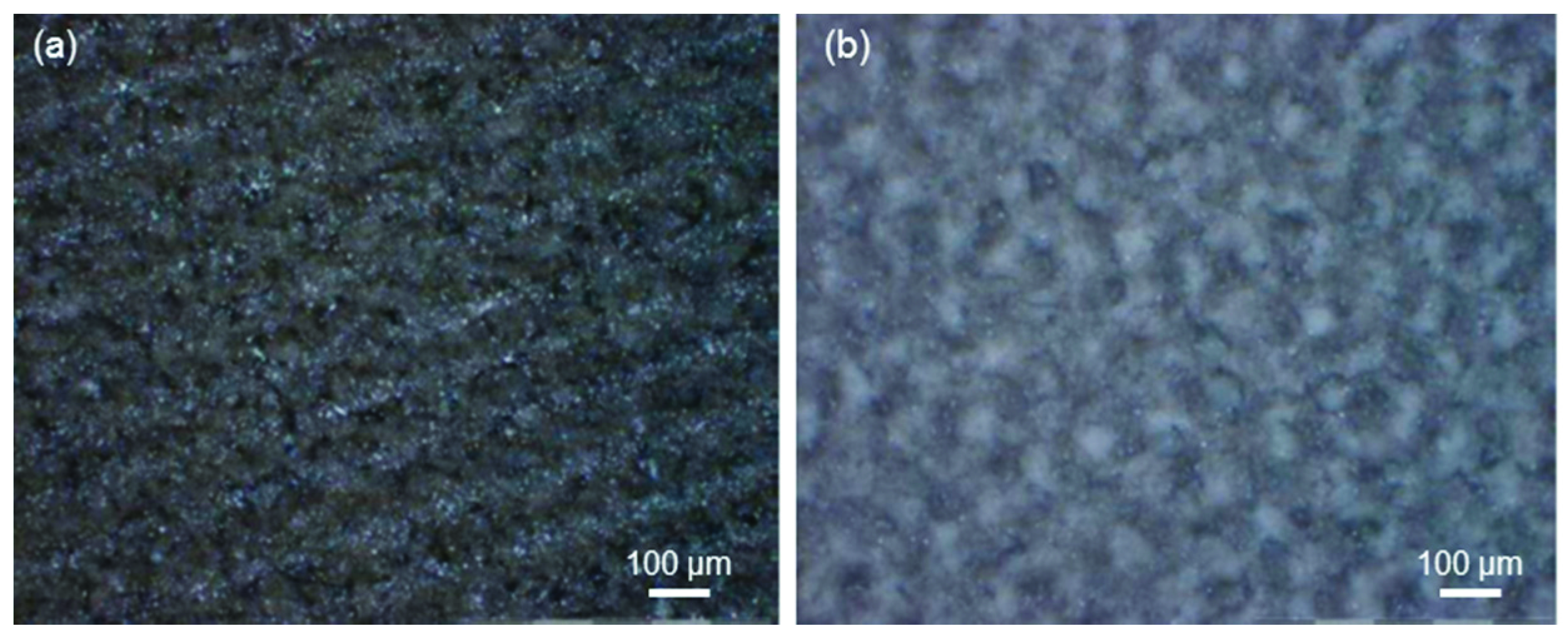 Coatings 09 00369 g009