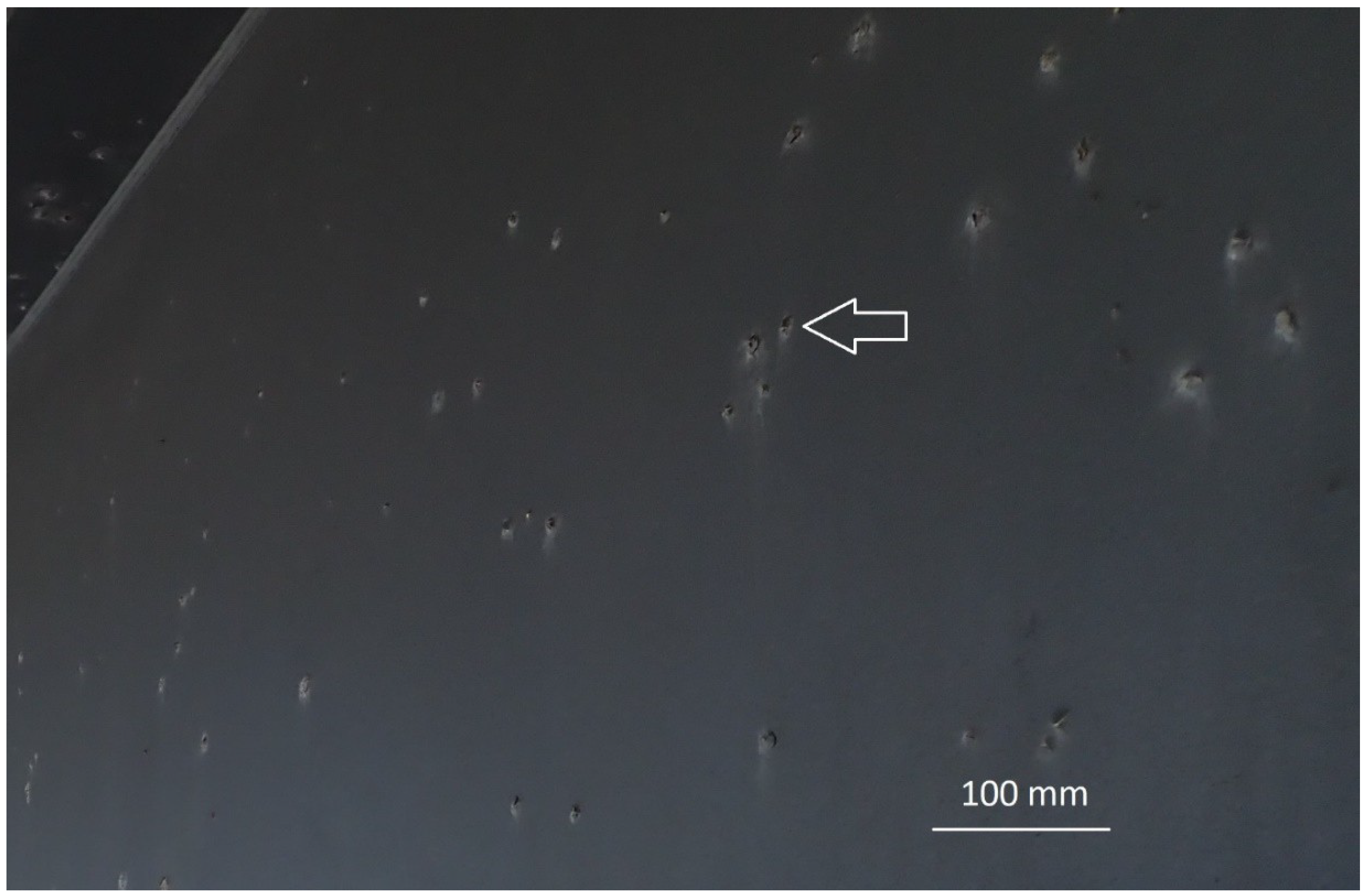 Coatings 09 00371 g006 550