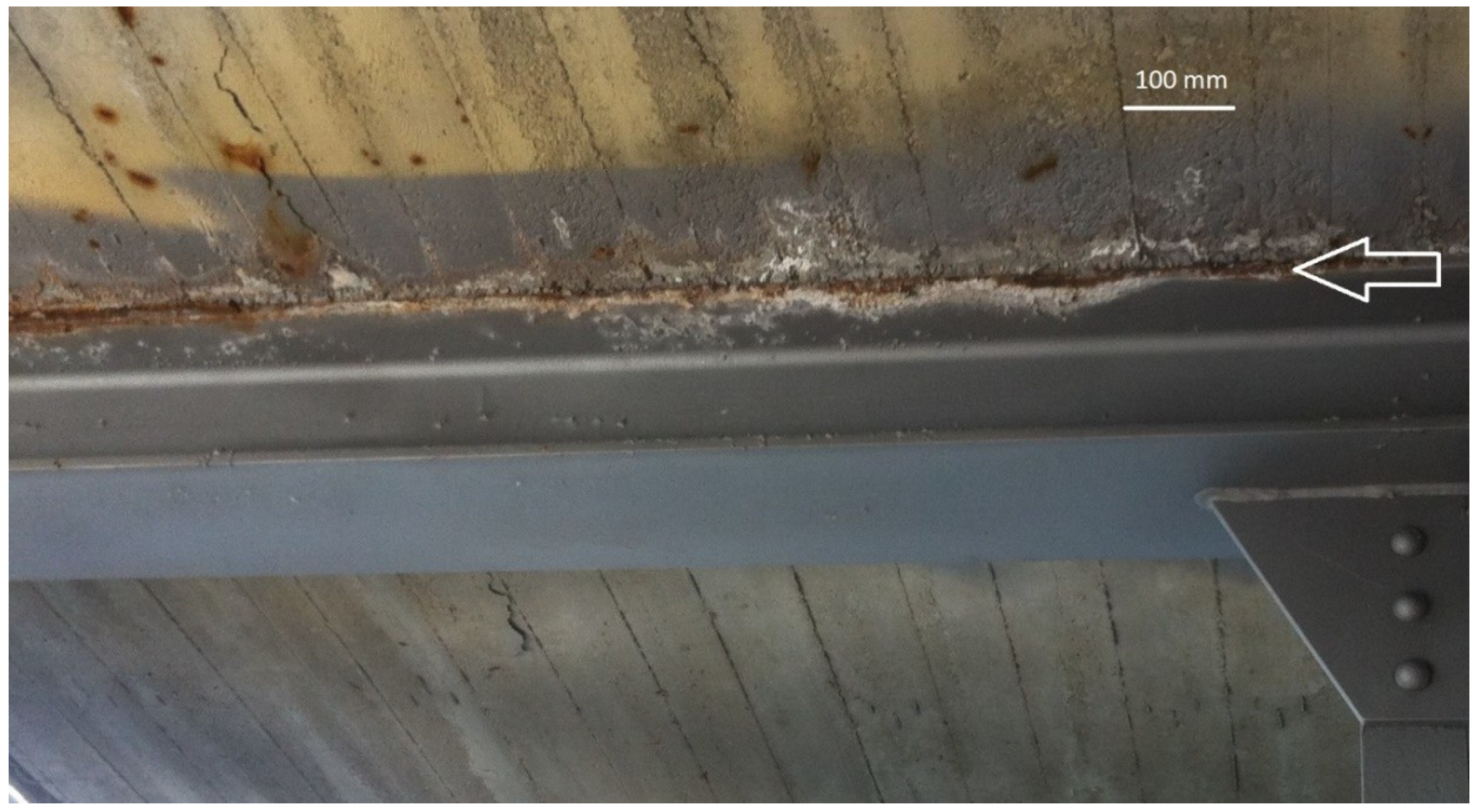 Coatings 09 00371 g007 550