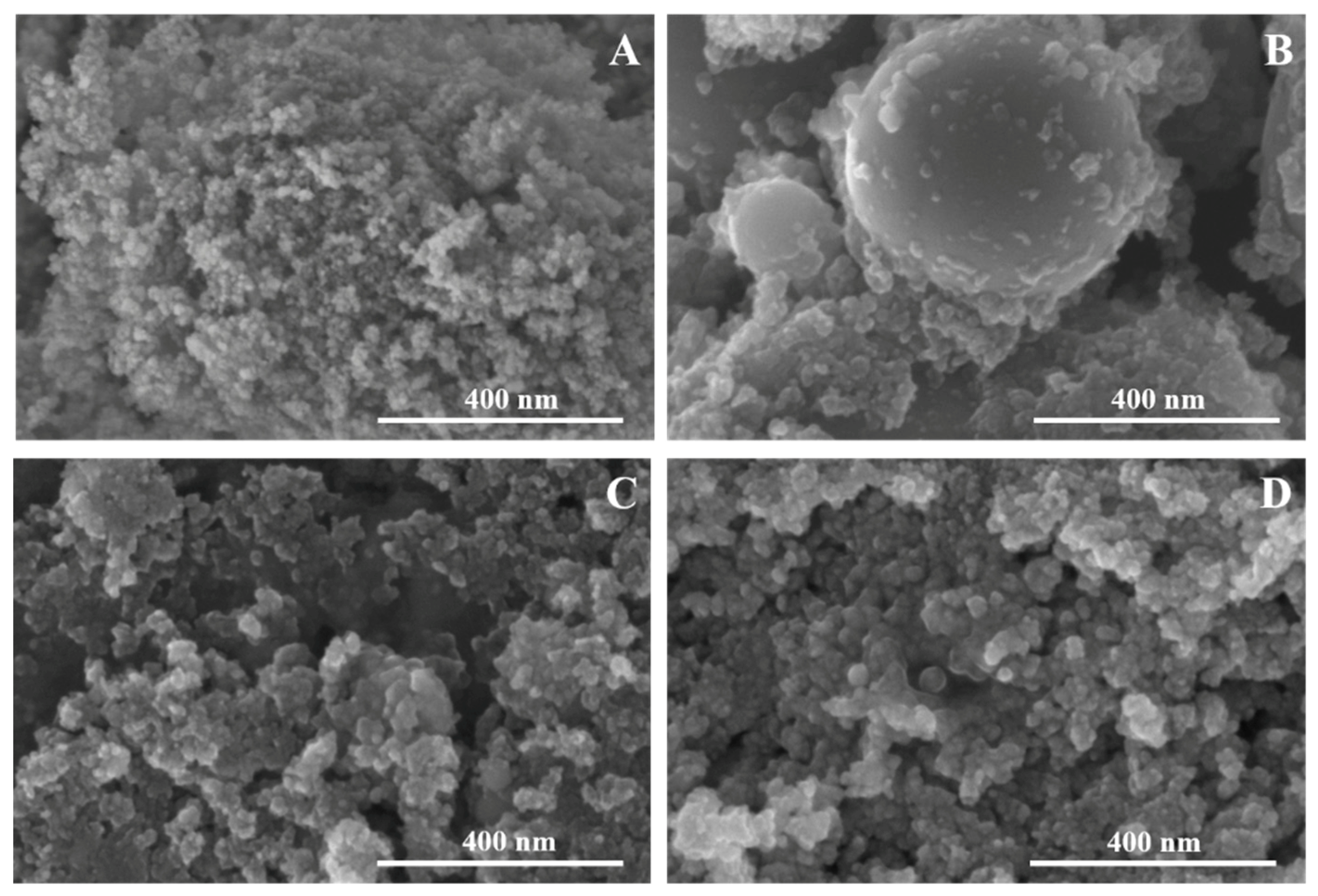 Coatings 09 00373 g002 550