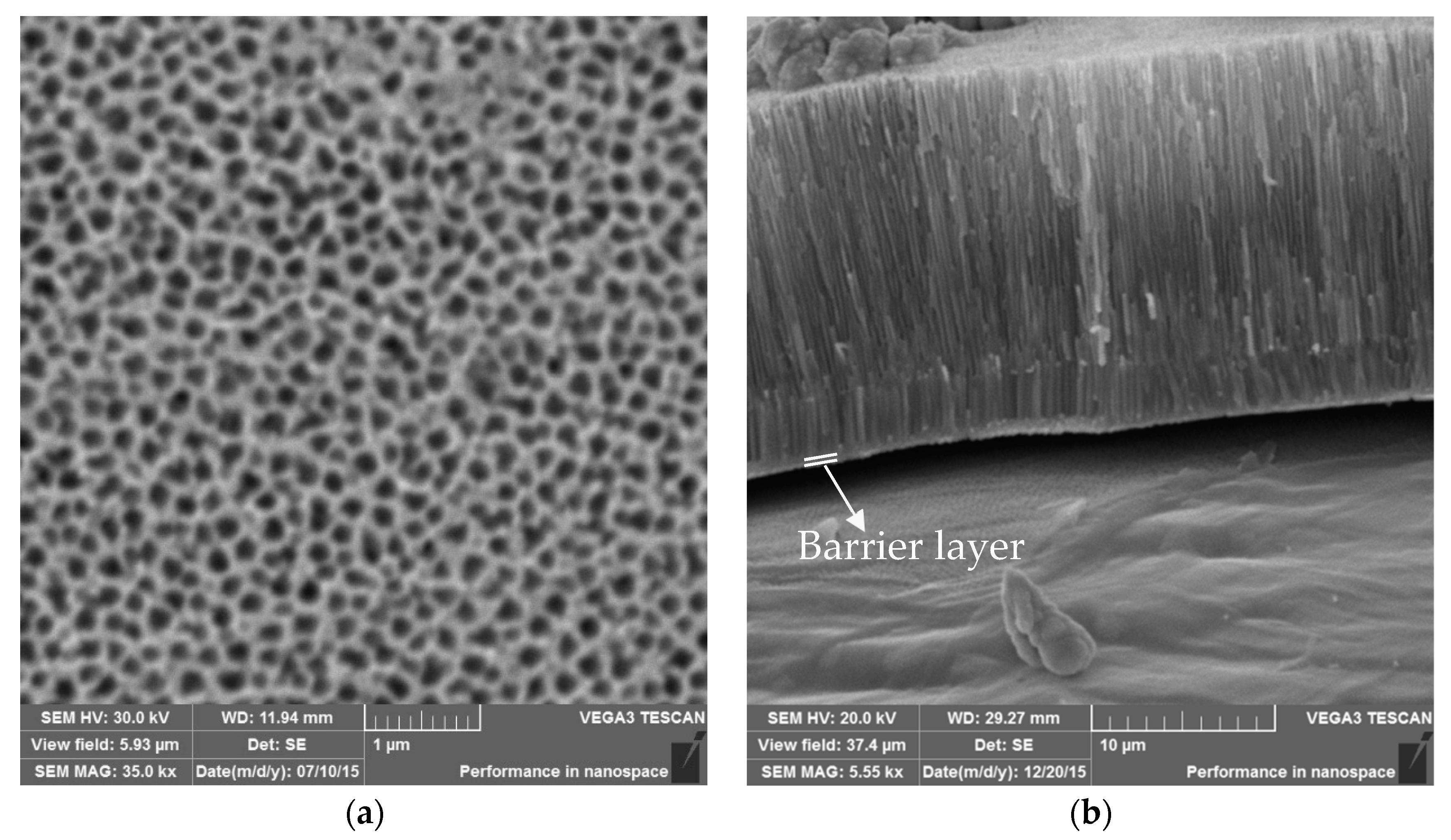 Coatings 09 00378 g002 550