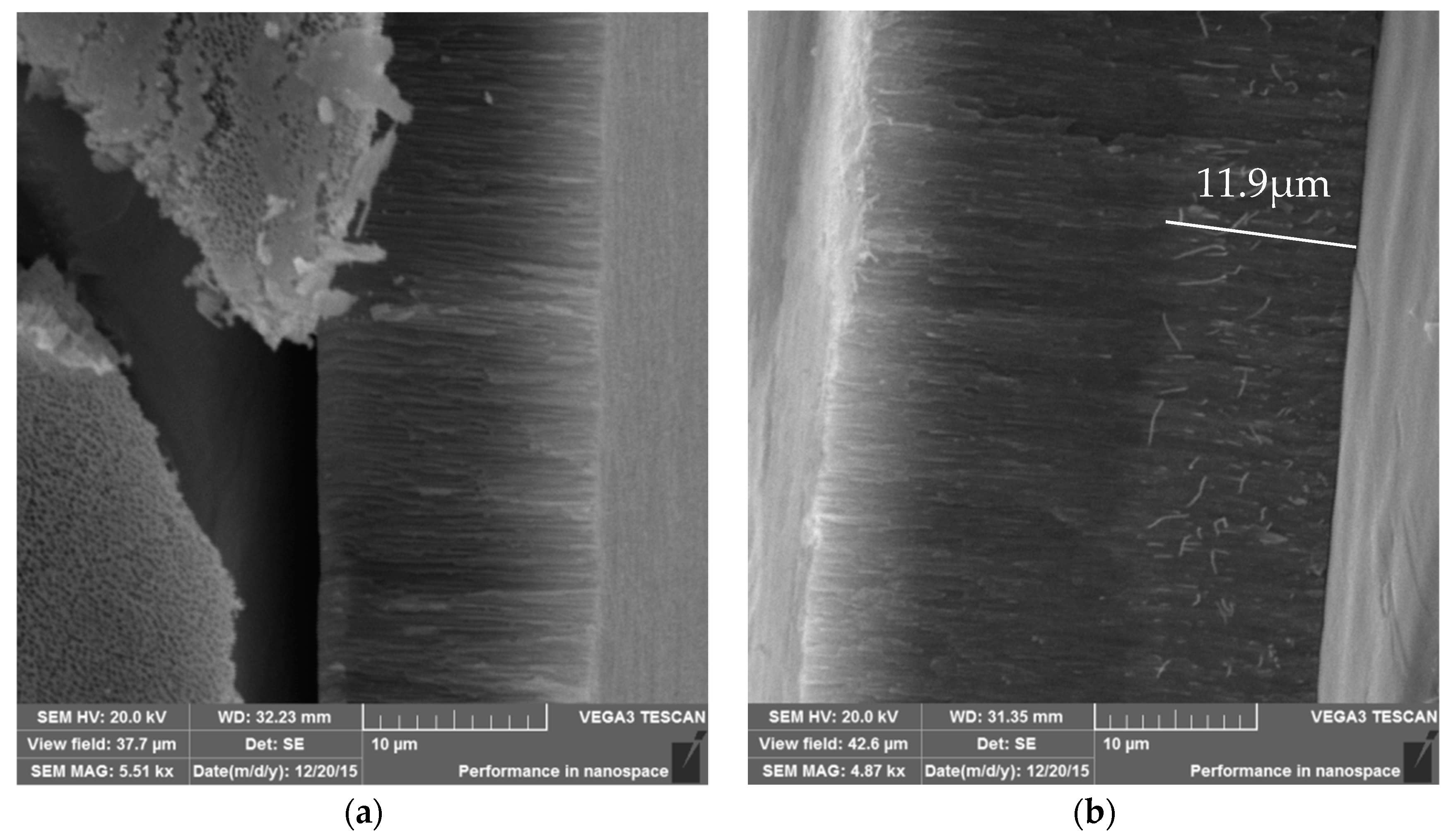 Coatings 09 00378 g003a 550