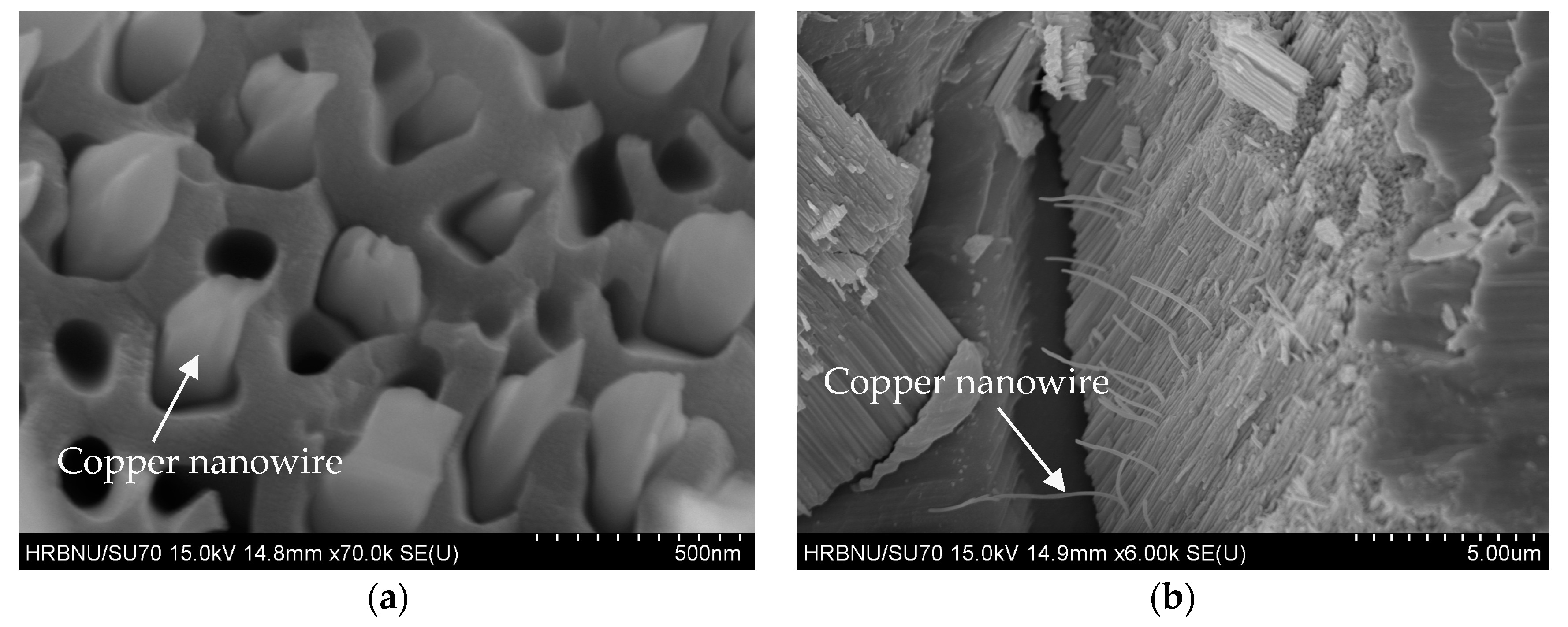 Coatings 09 00378 g004 550