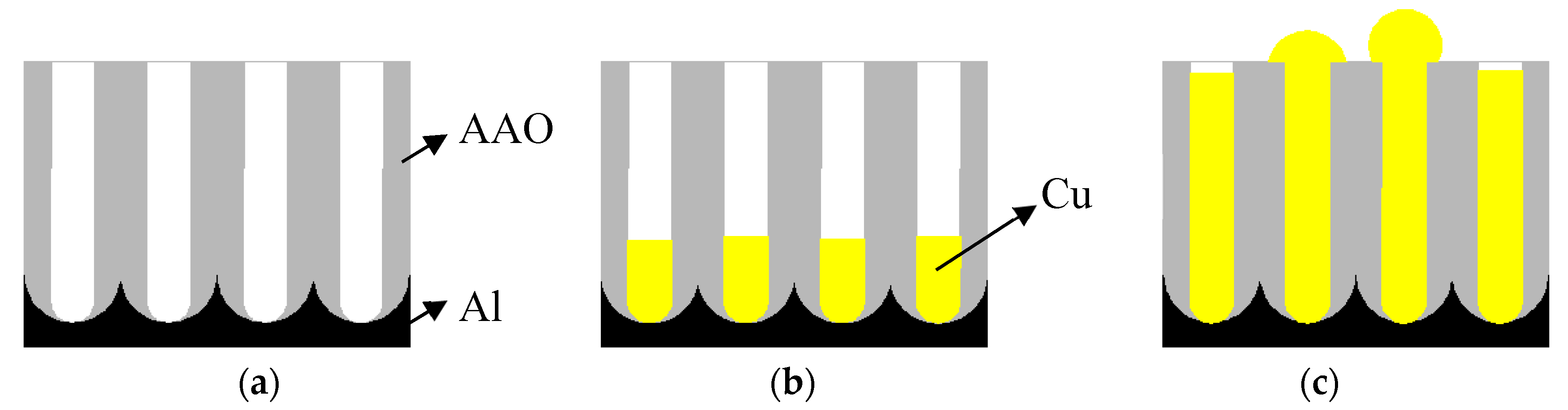 Coatings 09 00378 g006 550
