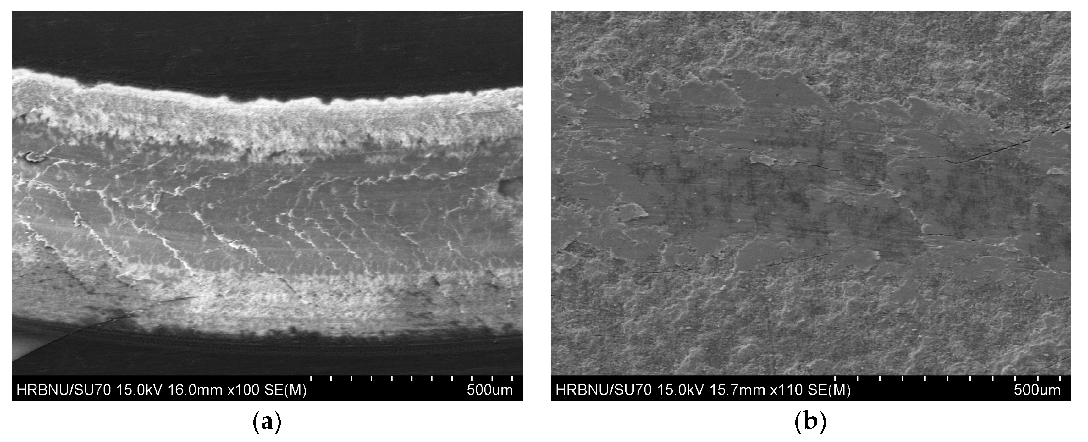 Coatings 09 00378 g008 550