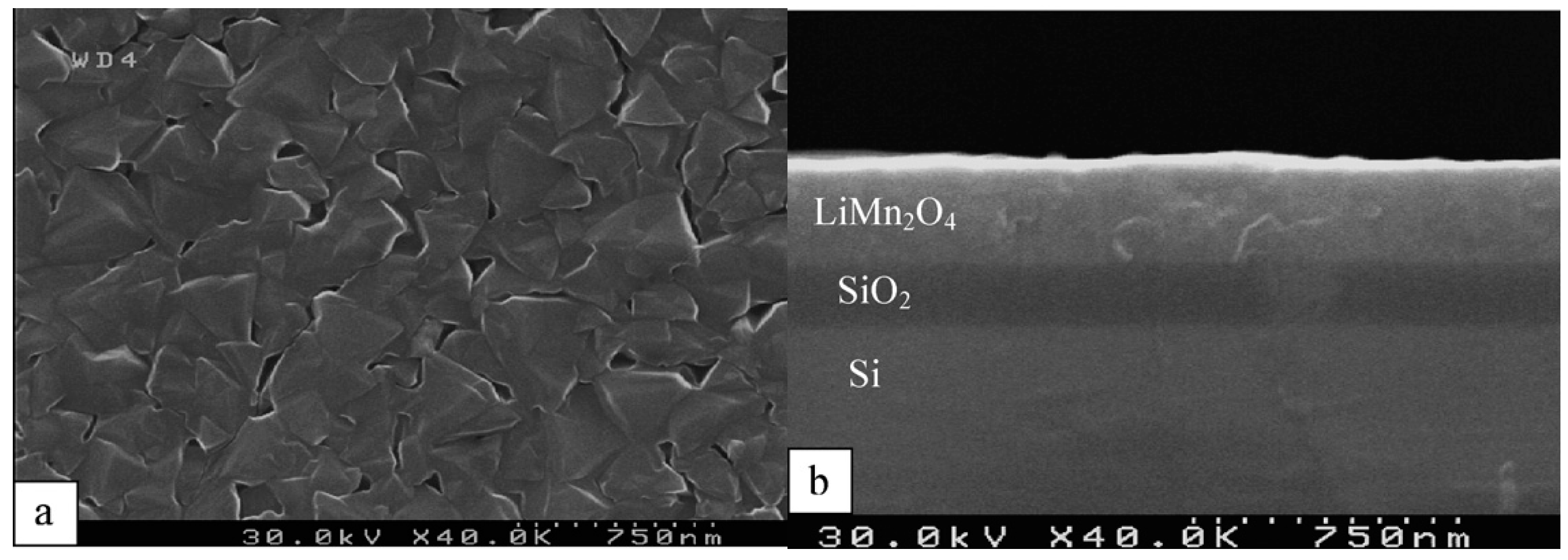 Coatings 09 00386 g009