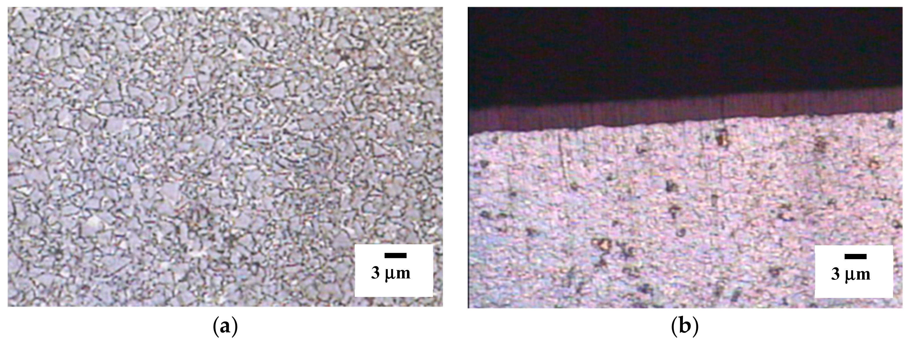 Coatings 09 00392 g001