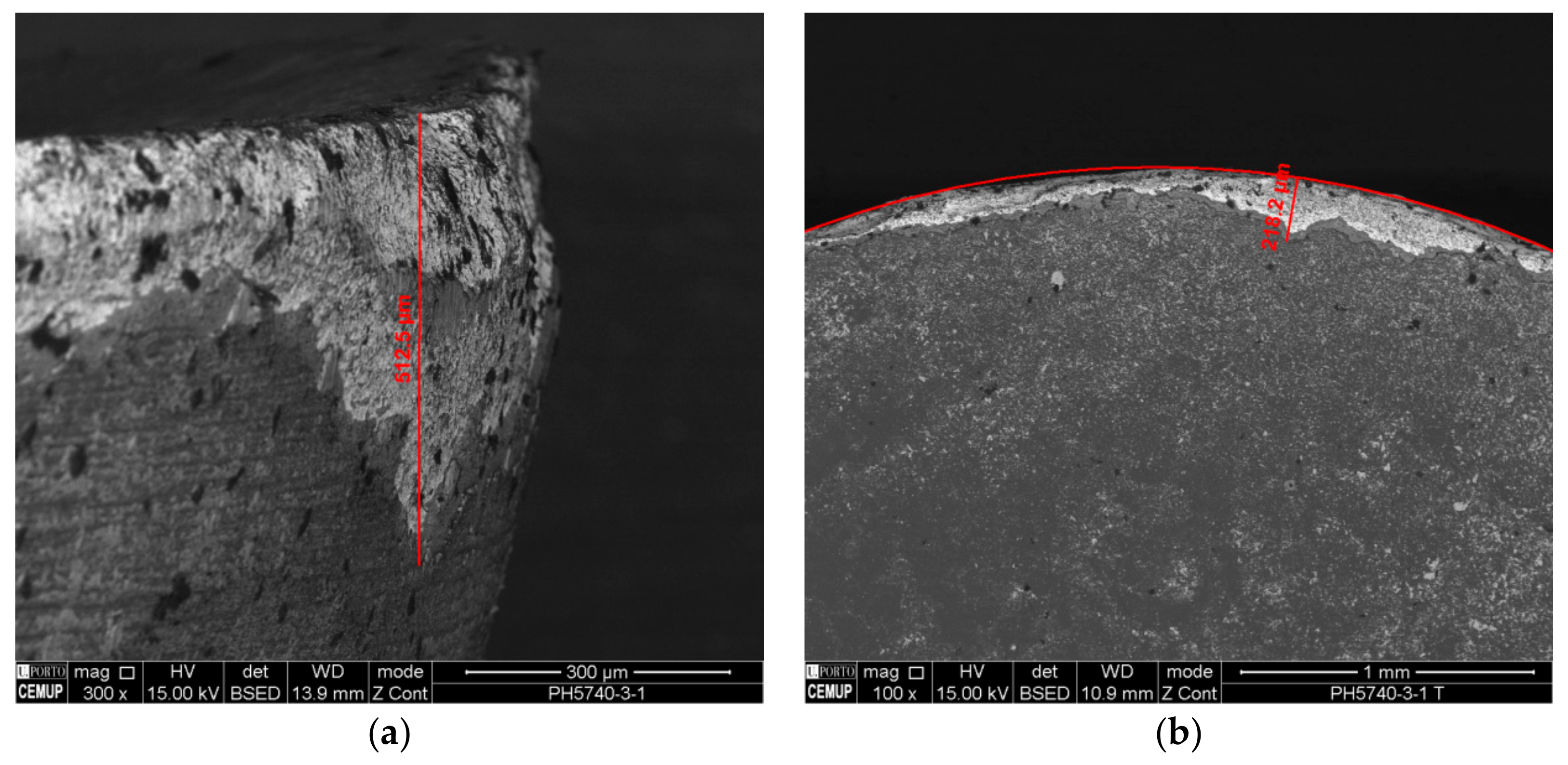 Coatings 09 00392 g010a