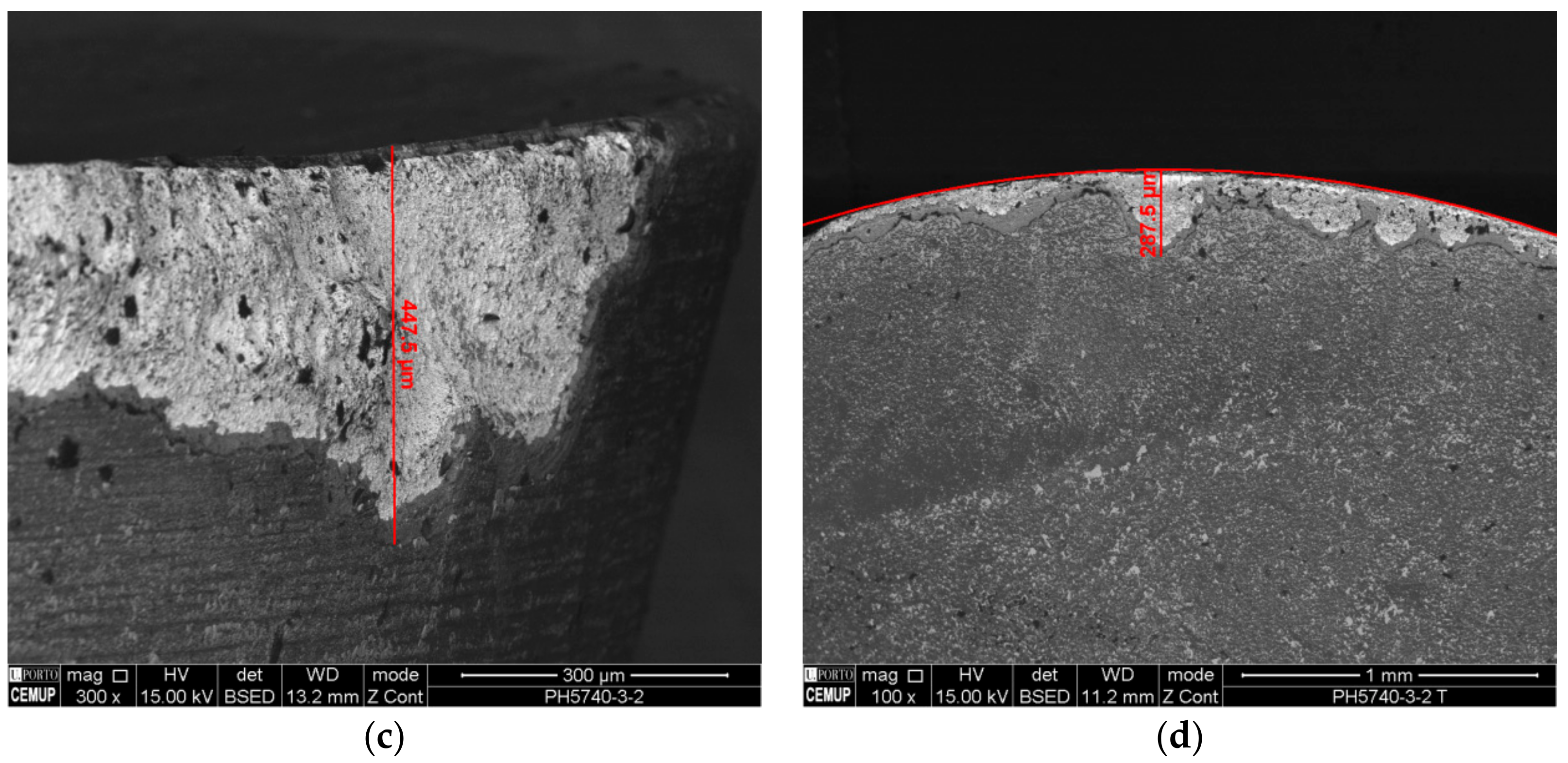 Coatings 09 00392 g010b