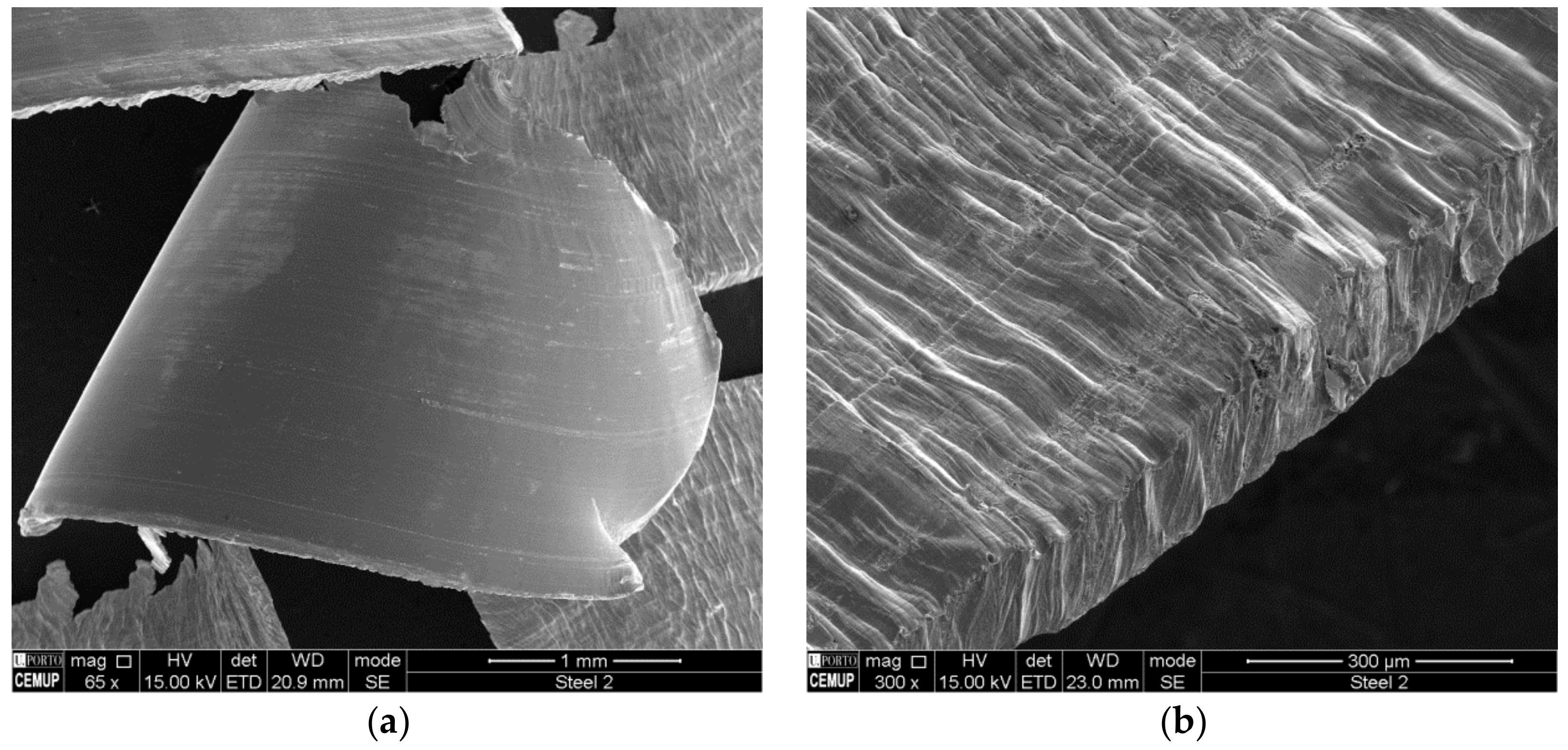 Coatings 09 00392 g014