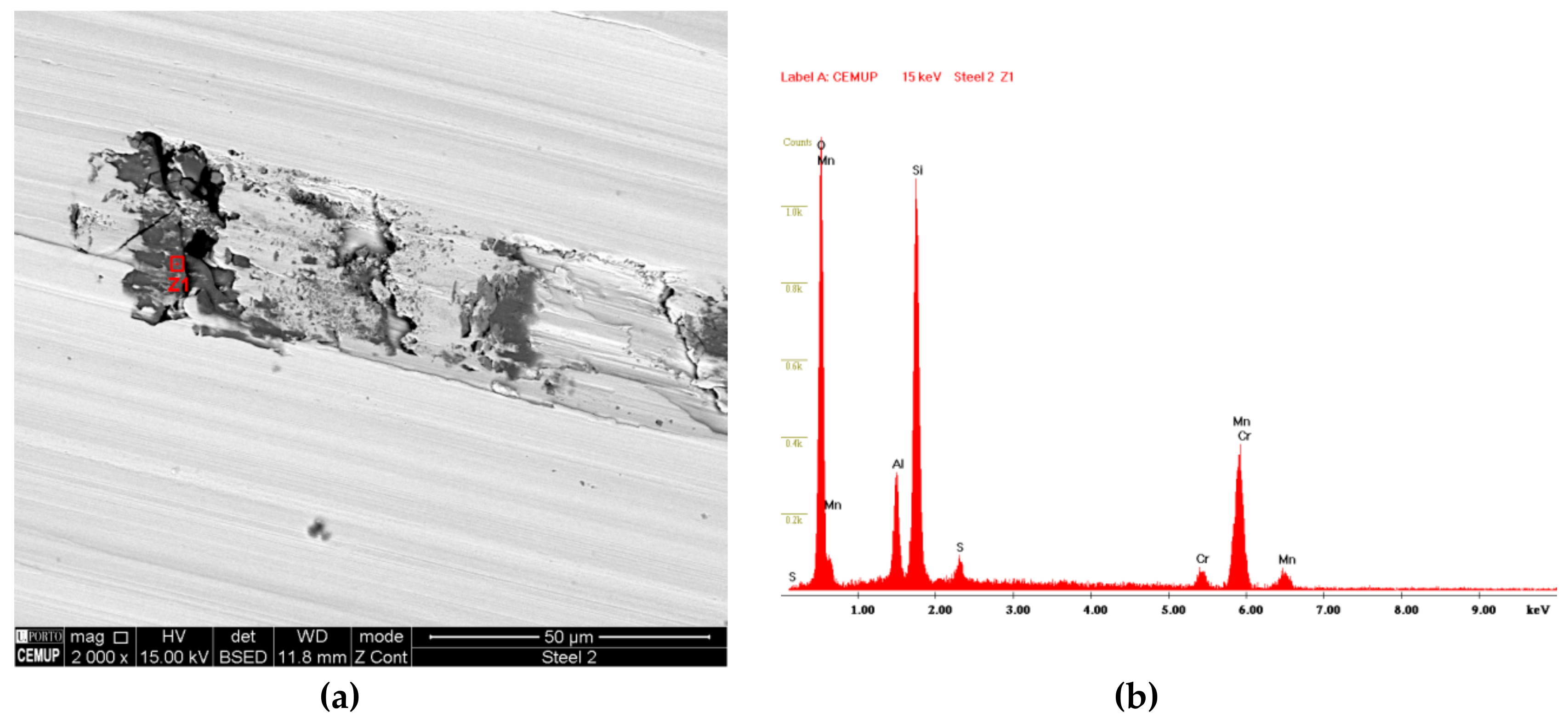 Coatings 09 00392 g015