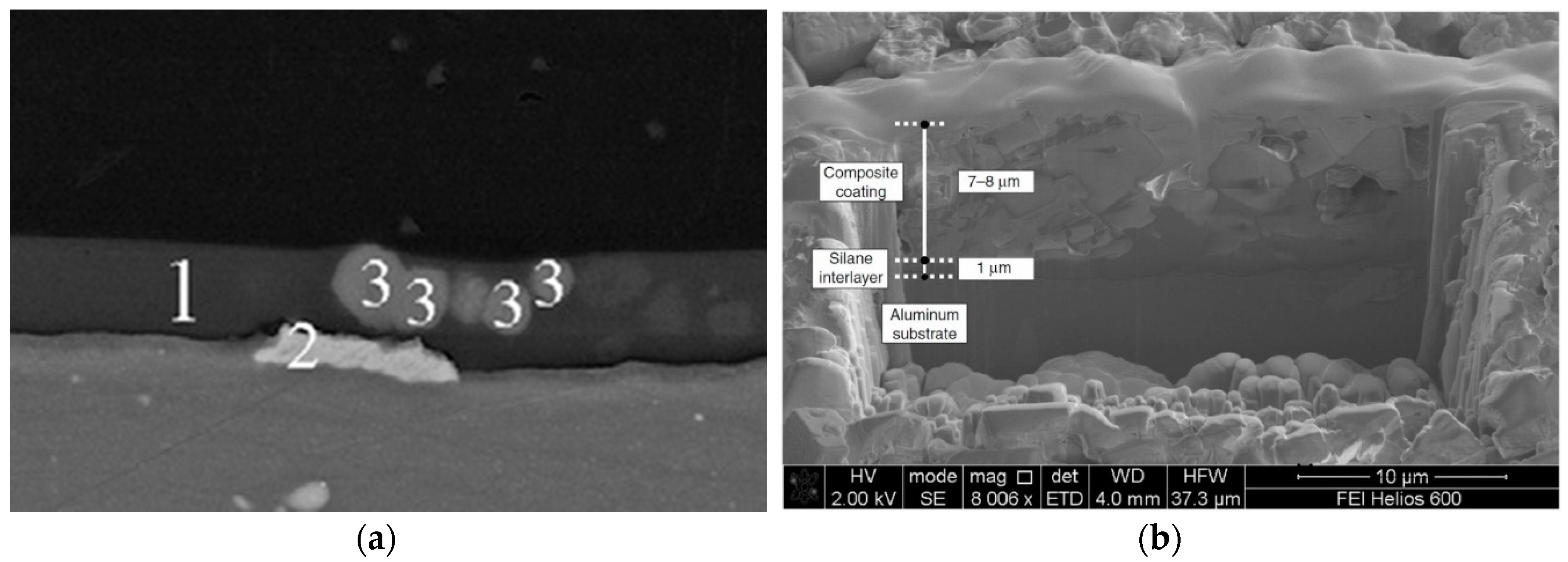 Coatings 09 00409 g003 Coatings 09 00409 g003