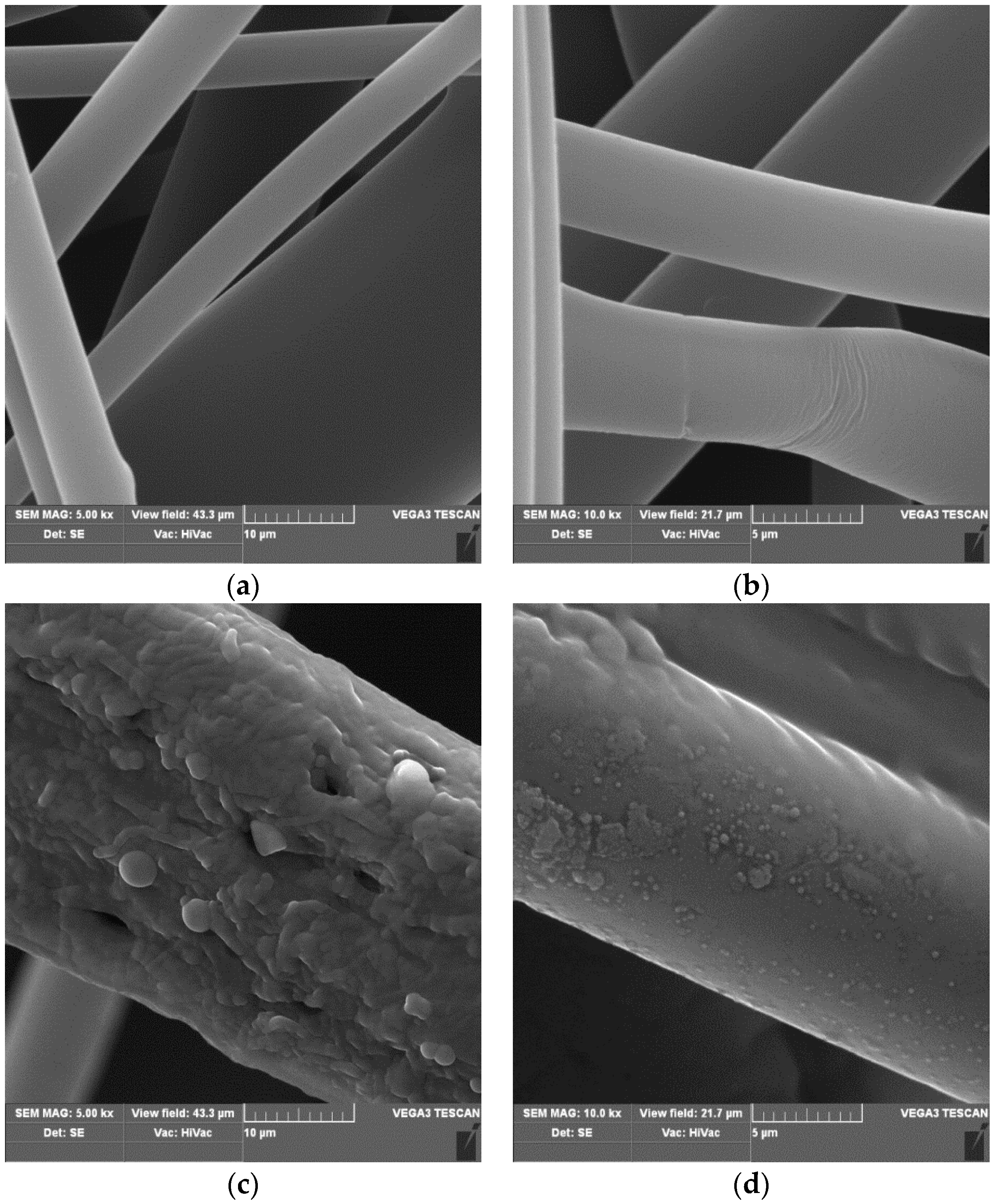 Coatings 09 00412 g002