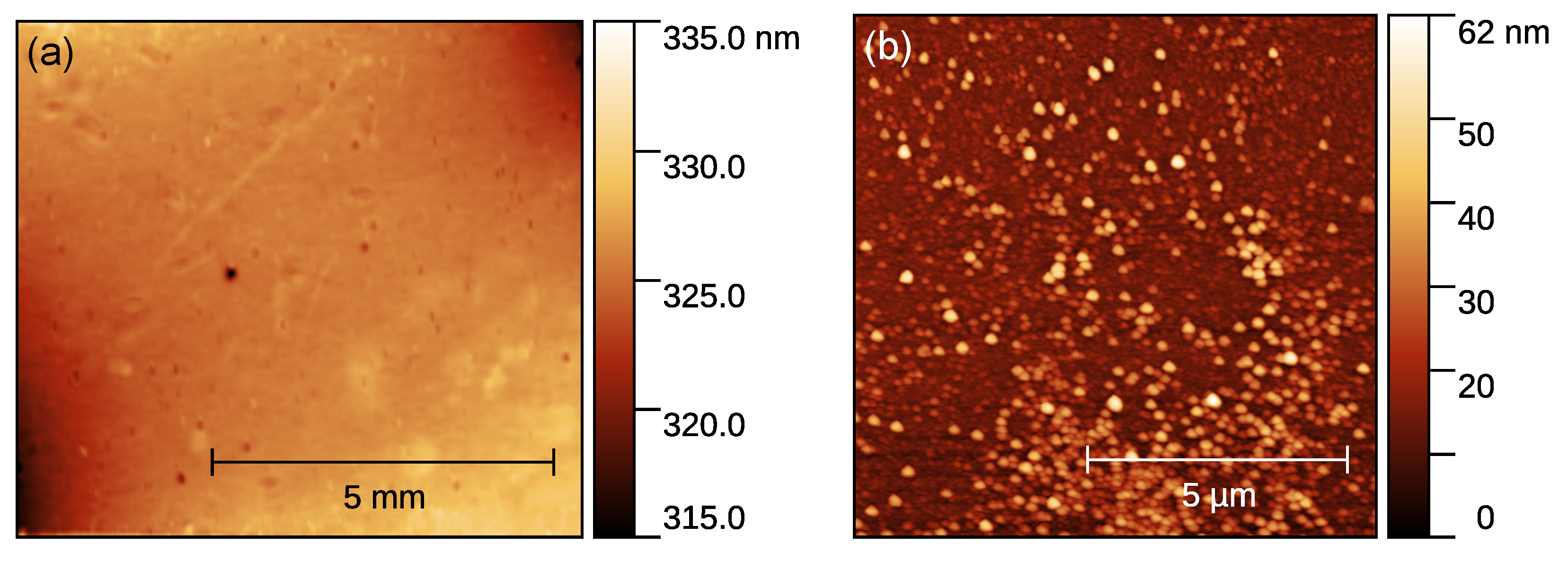 Coatings 09 00416 g008