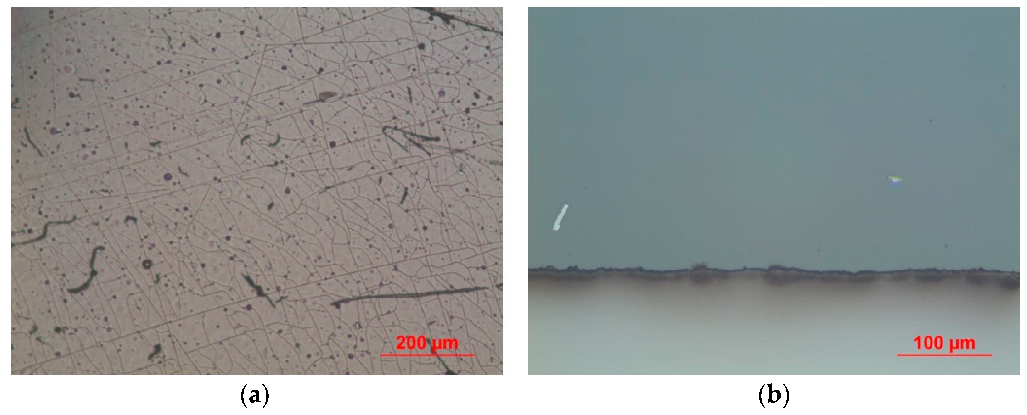 Coatings 09 00417 g004 550