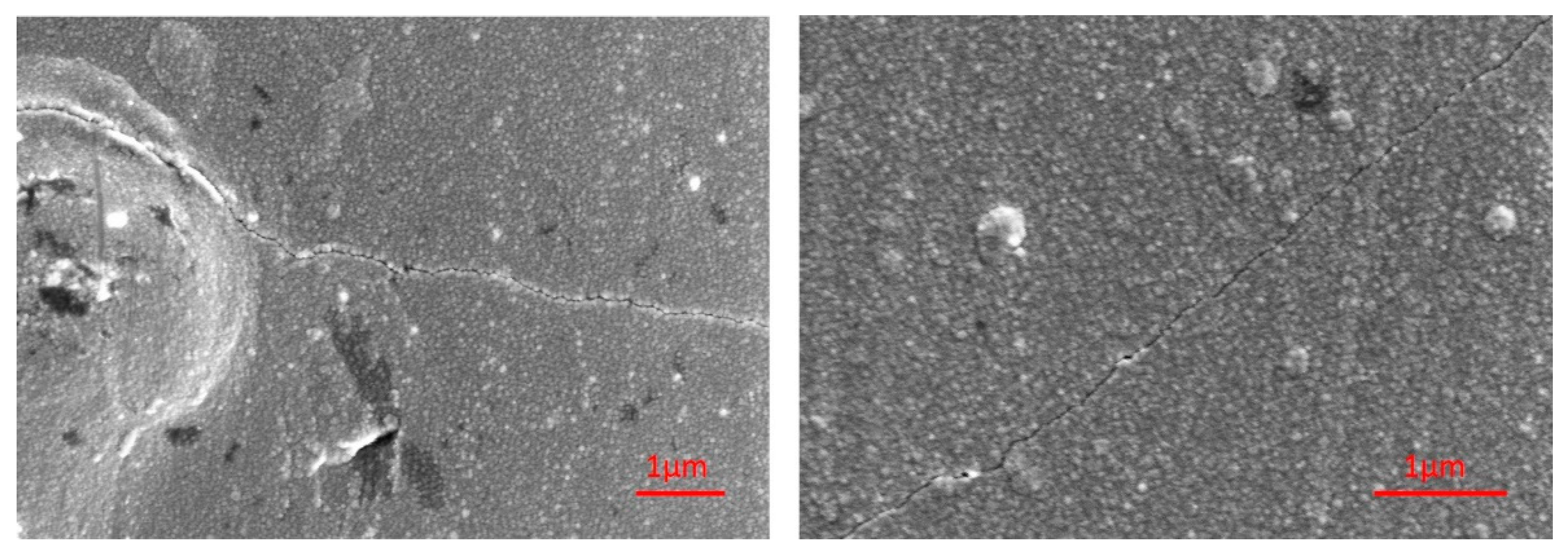 Coatings 09 00417 g005 550