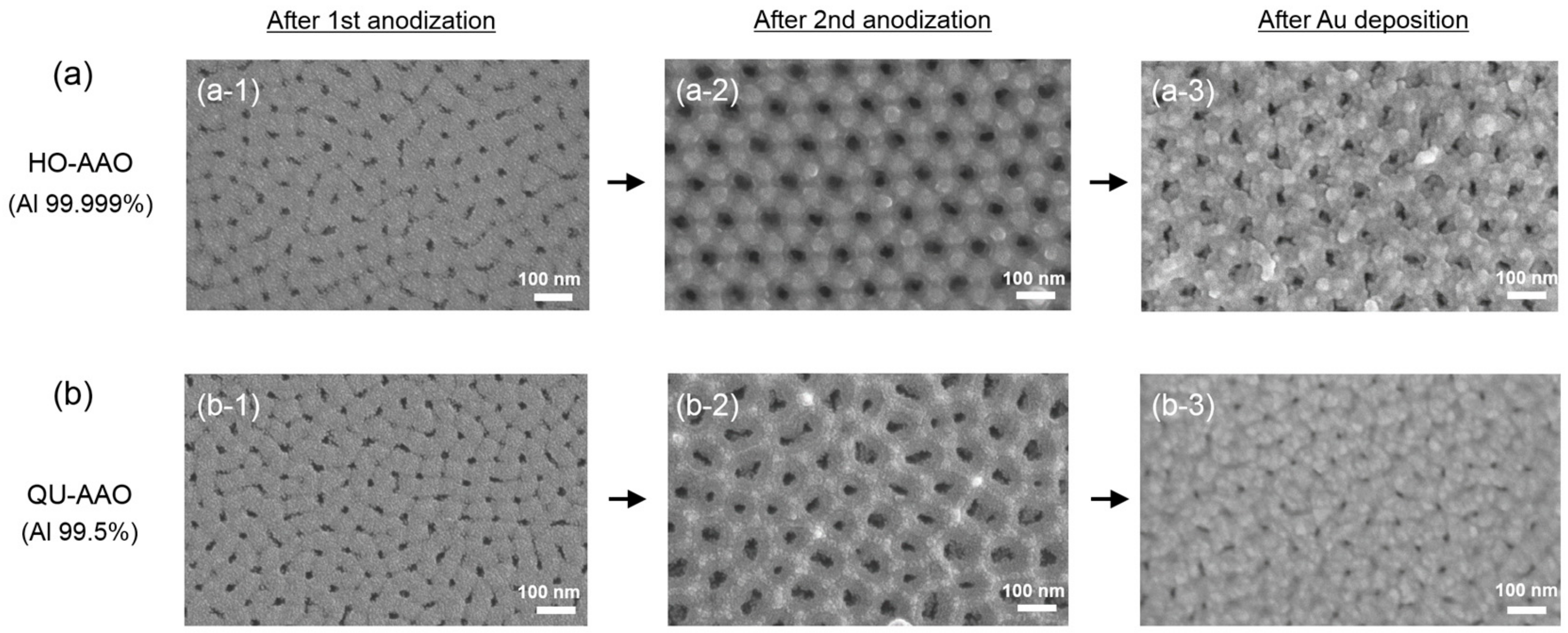 Coatings 09 00420 g002
