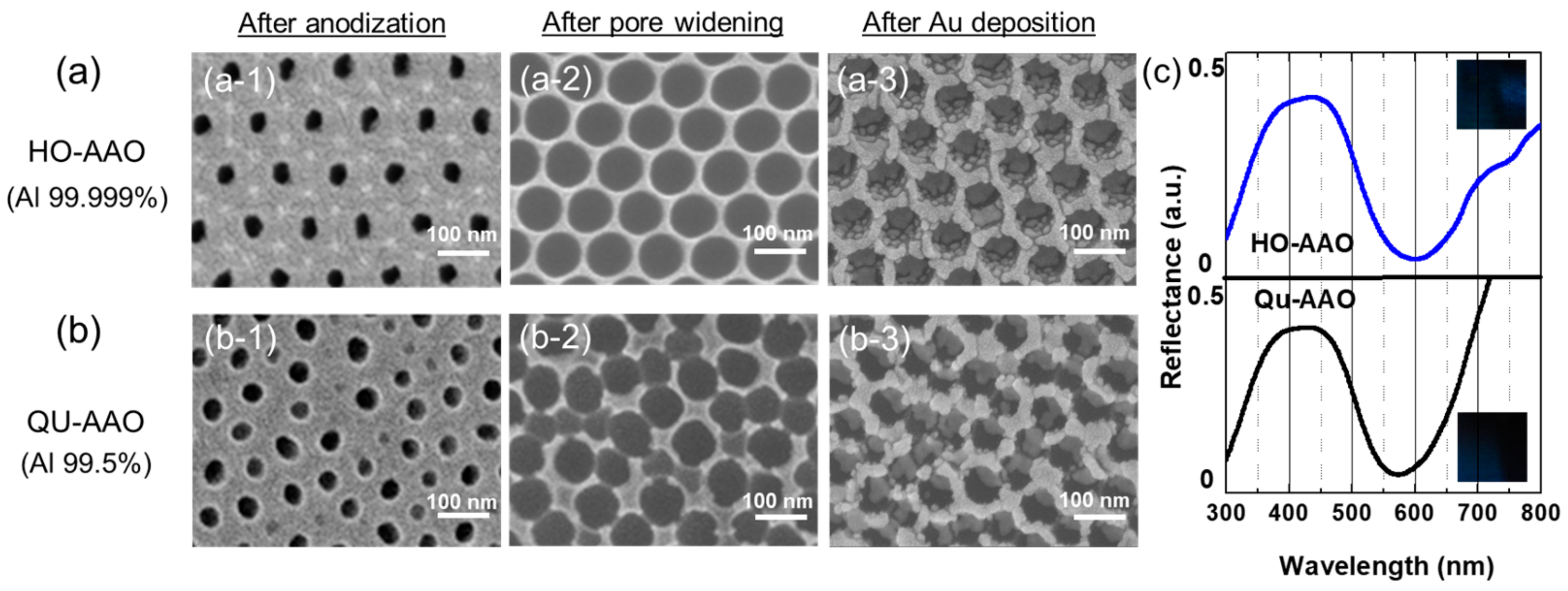 Coatings 09 00420 g005