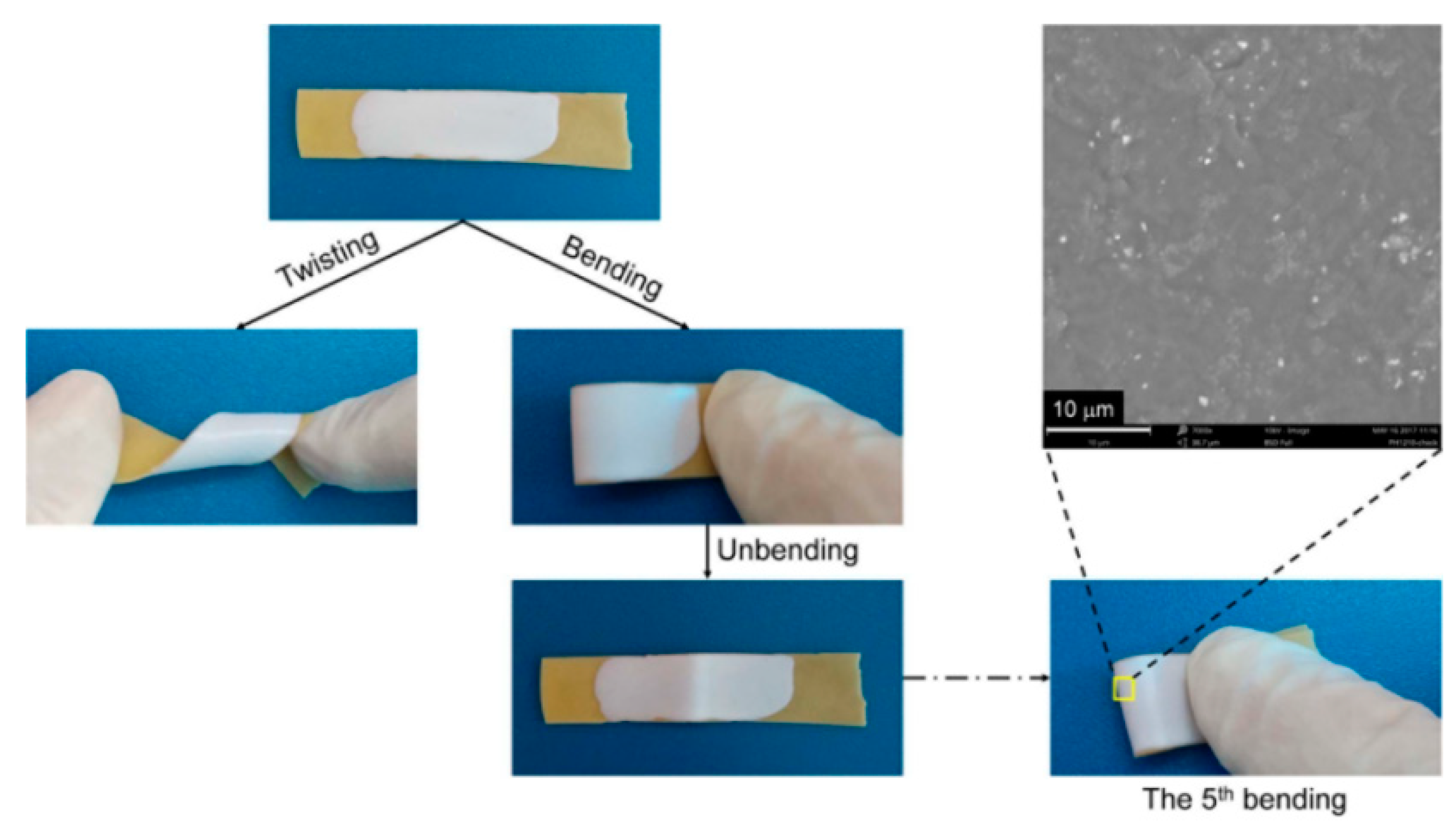 Coatings 09 00421 g008