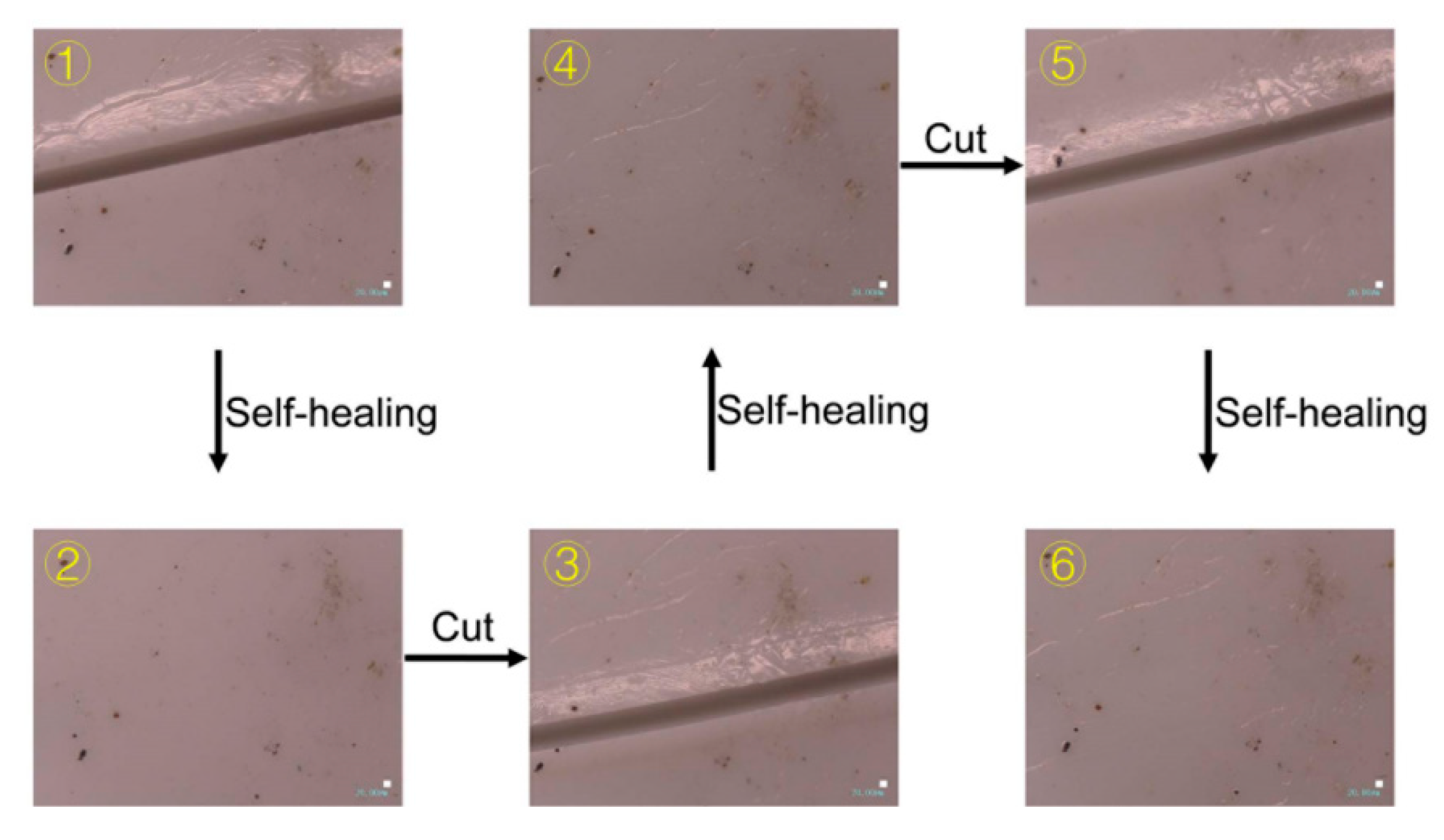 Coatings 09 00421 g013