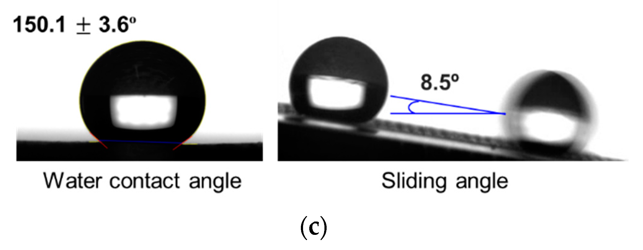 Coatings 09 00430 g002b 550