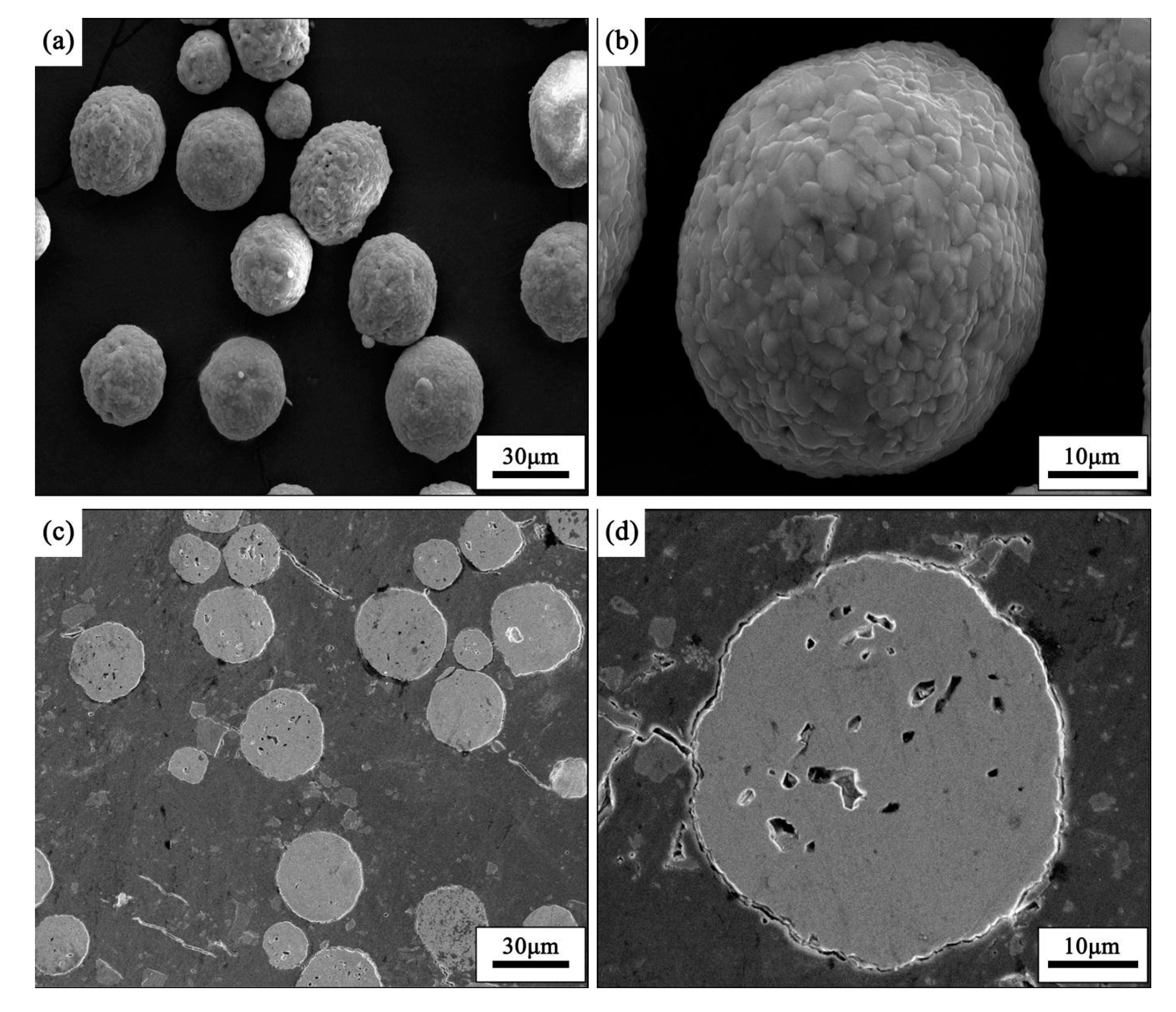 Ceramics Free Full Text Microstructure And Interface Characteristics Of 17 4ph Ysz Components After Co Sintering And Hydrothermal Corrosion Html