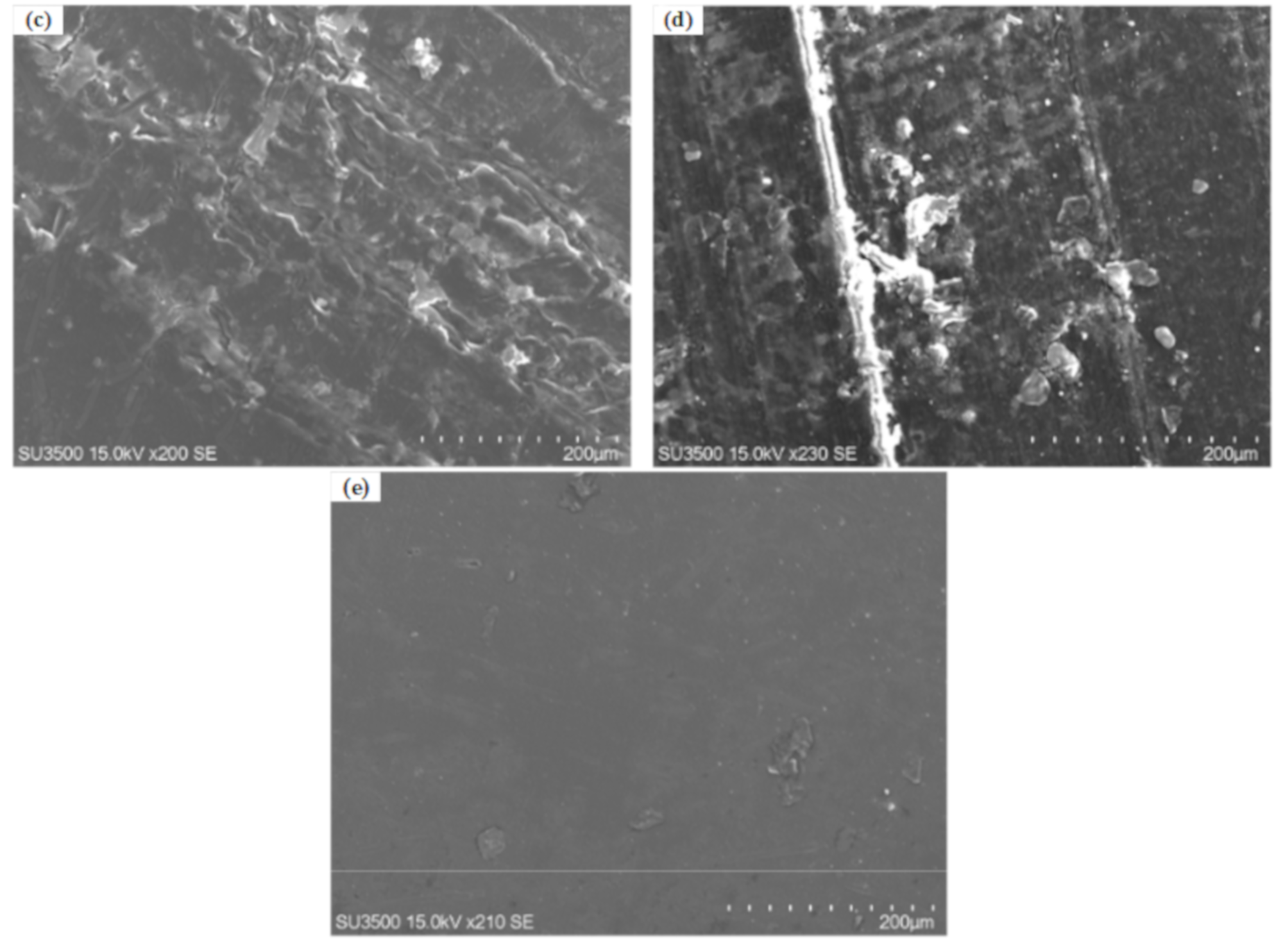 Coatings 09 00436 g005b