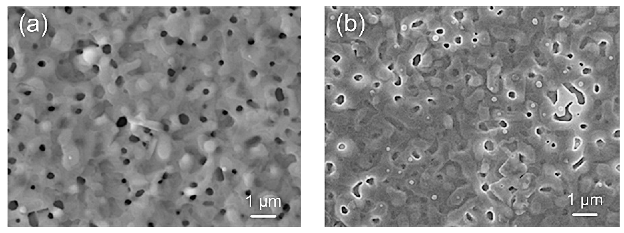 Coatings 09 00437 g005a Coatings 09 00437 g005a