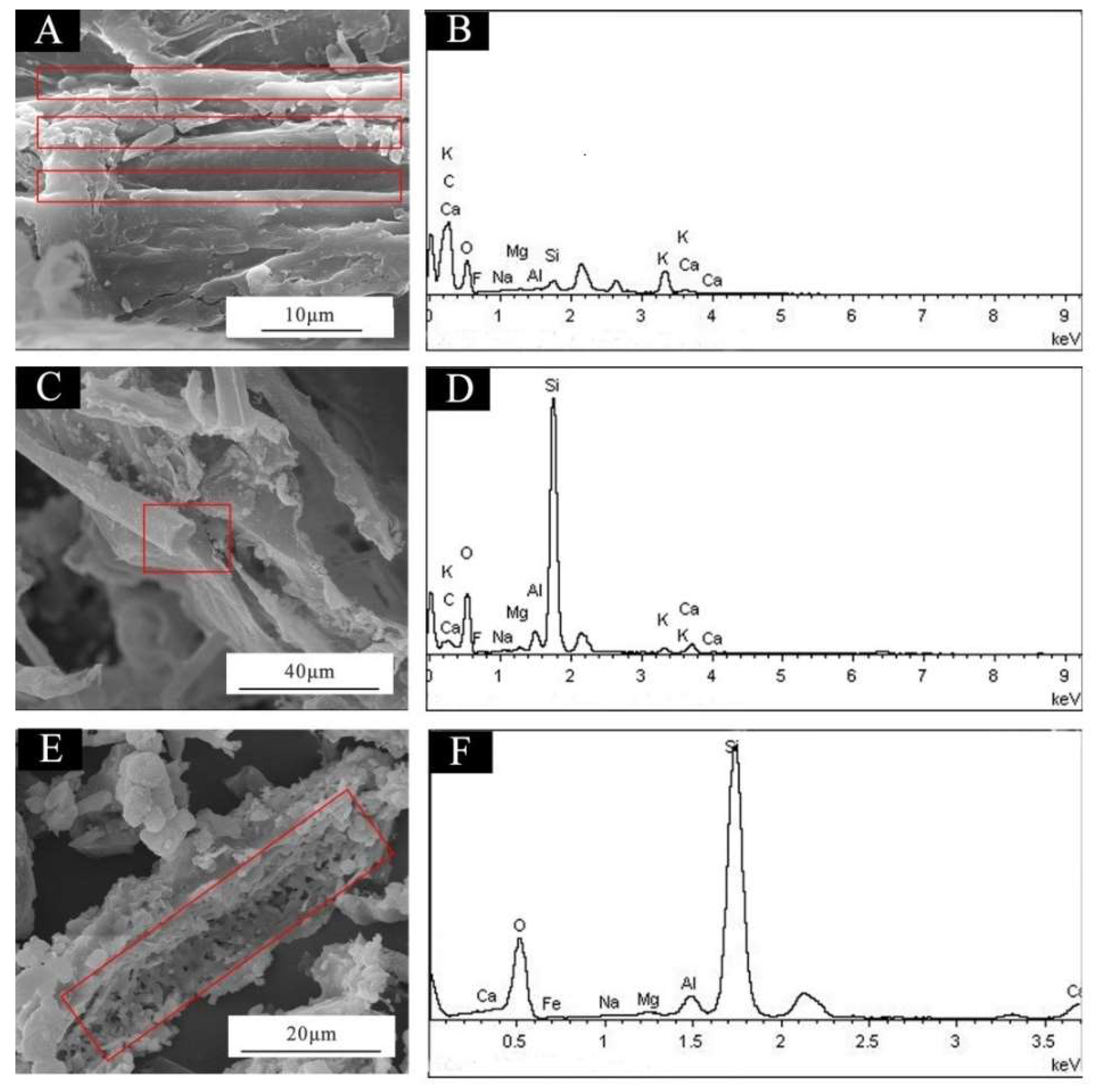 Coatings 09 00444 g001 Coatings 09 00444 g001