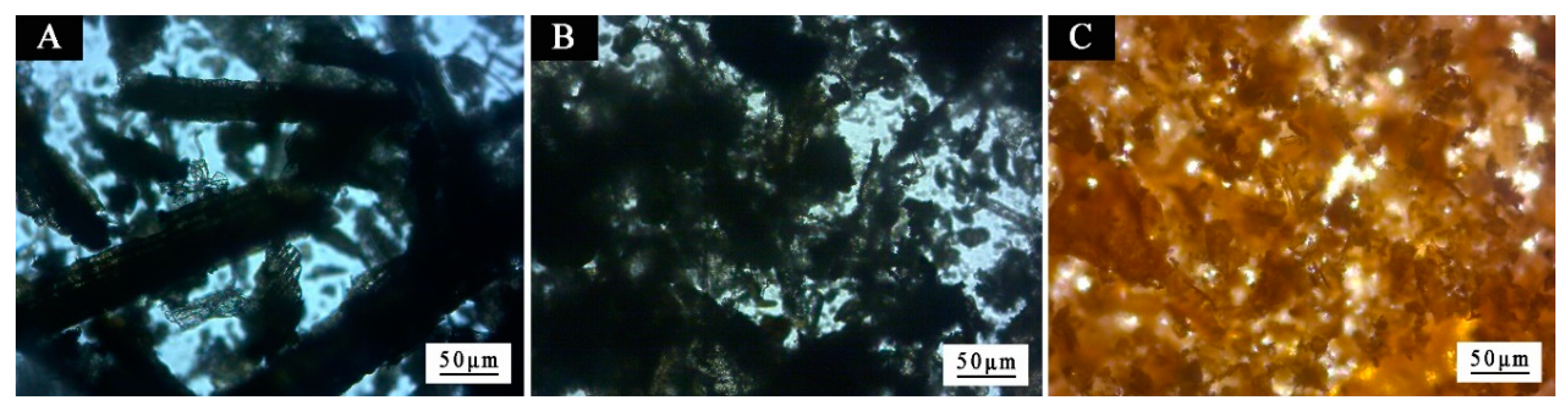 Coatings 09 00444 g010 Coatings 09 00444 g010