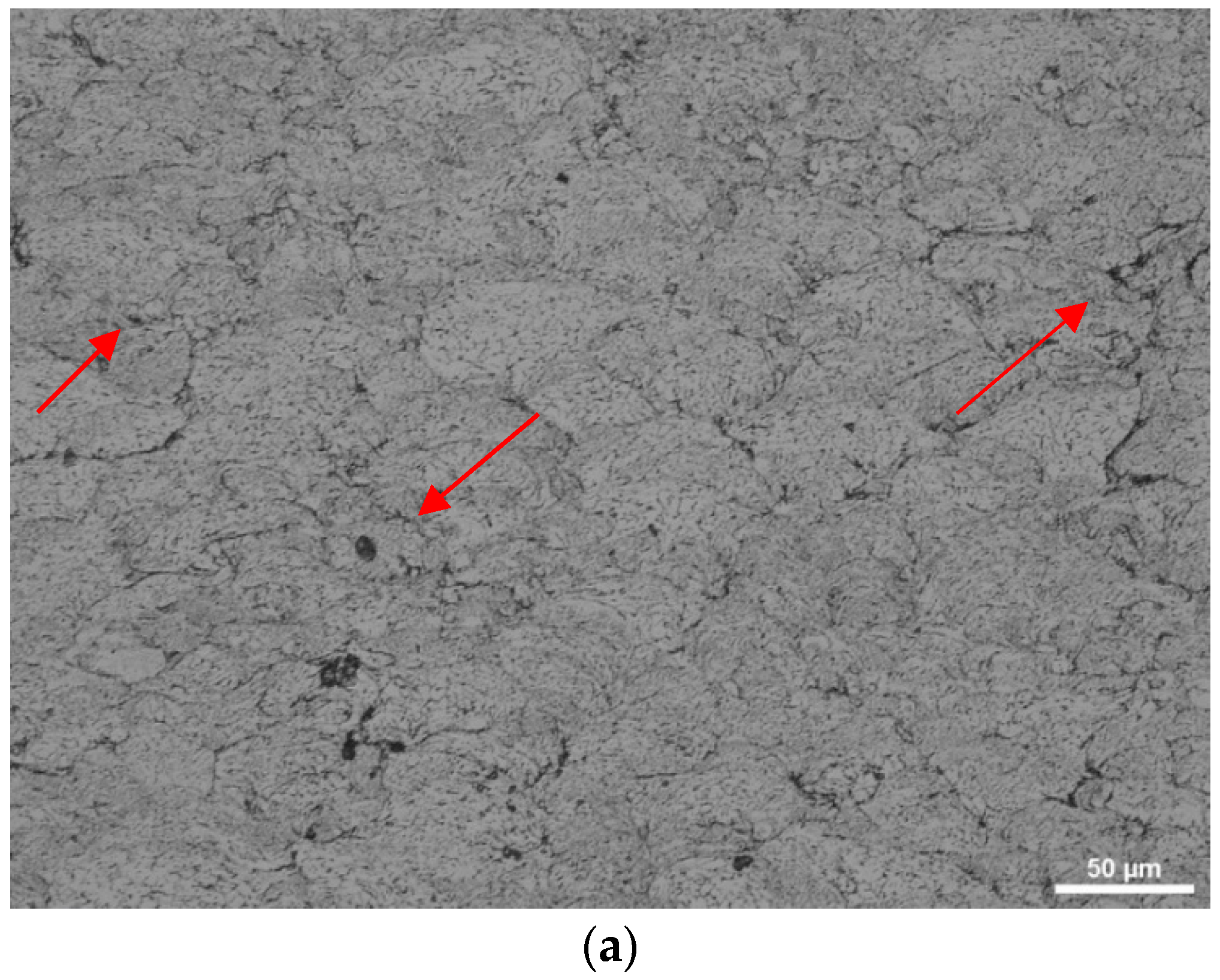 Coatings 09 00445 g006a Coatings 09 00445 g006a