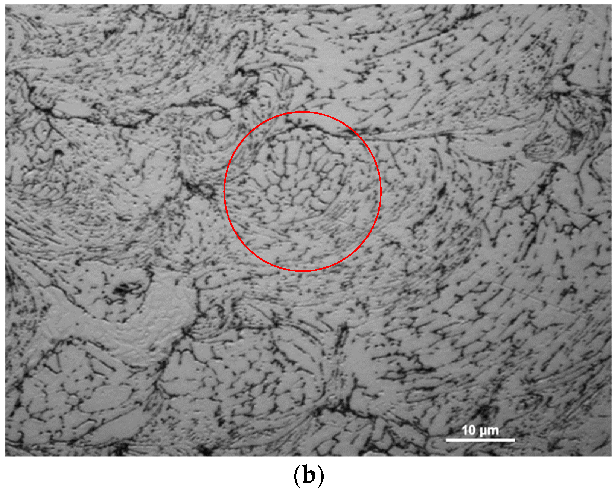 Coatings 09 00445 g006b Coatings 09 00445 g006b