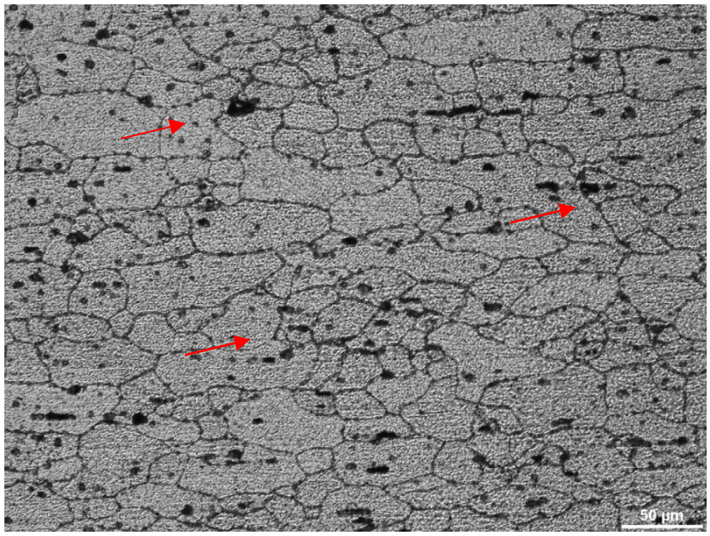 Coatings 09 00445 g007 Coatings 09 00445 g007