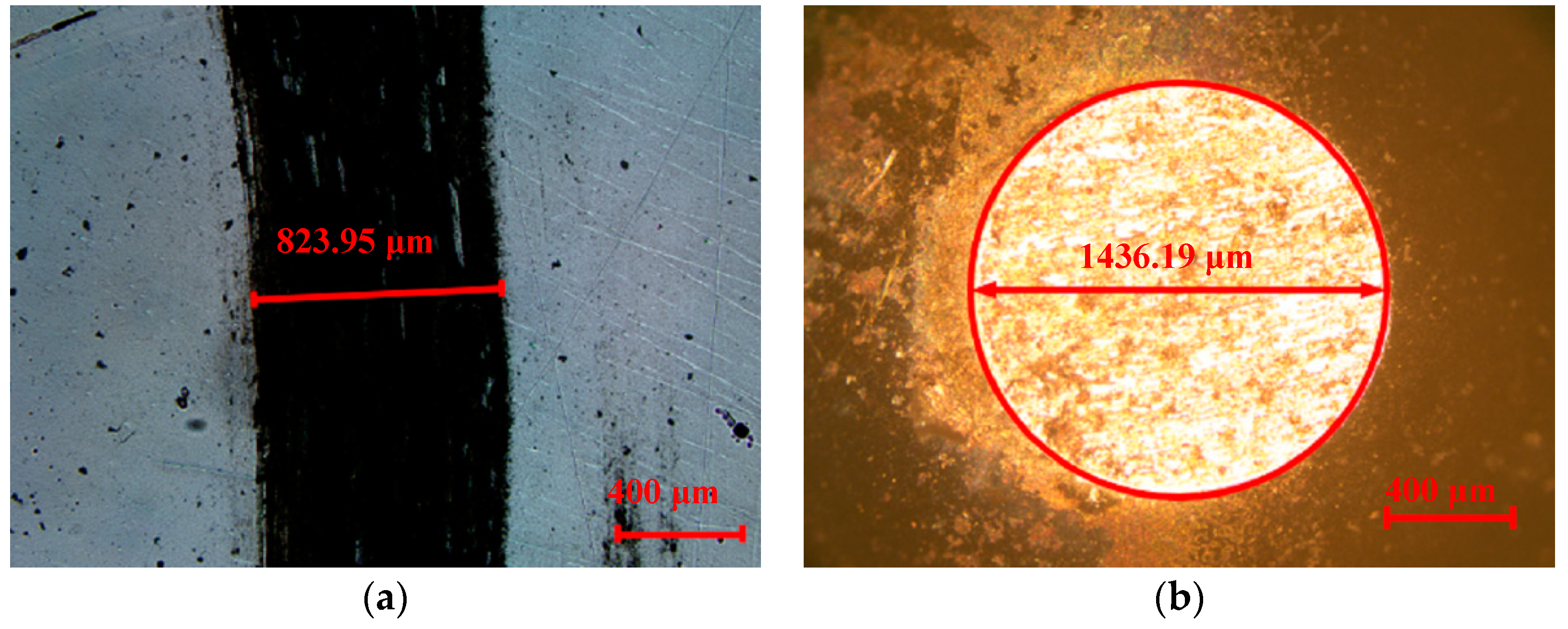 Coatings 09 00450 g003