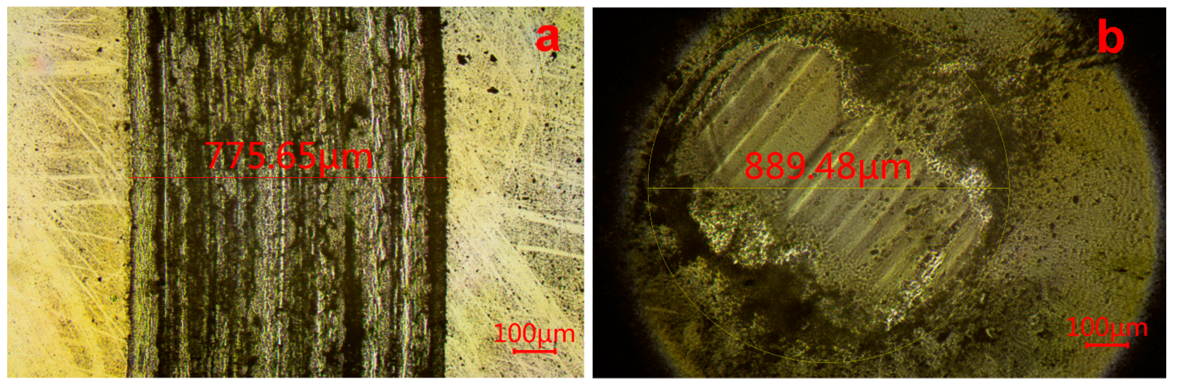 Coatings 09 00450 g010