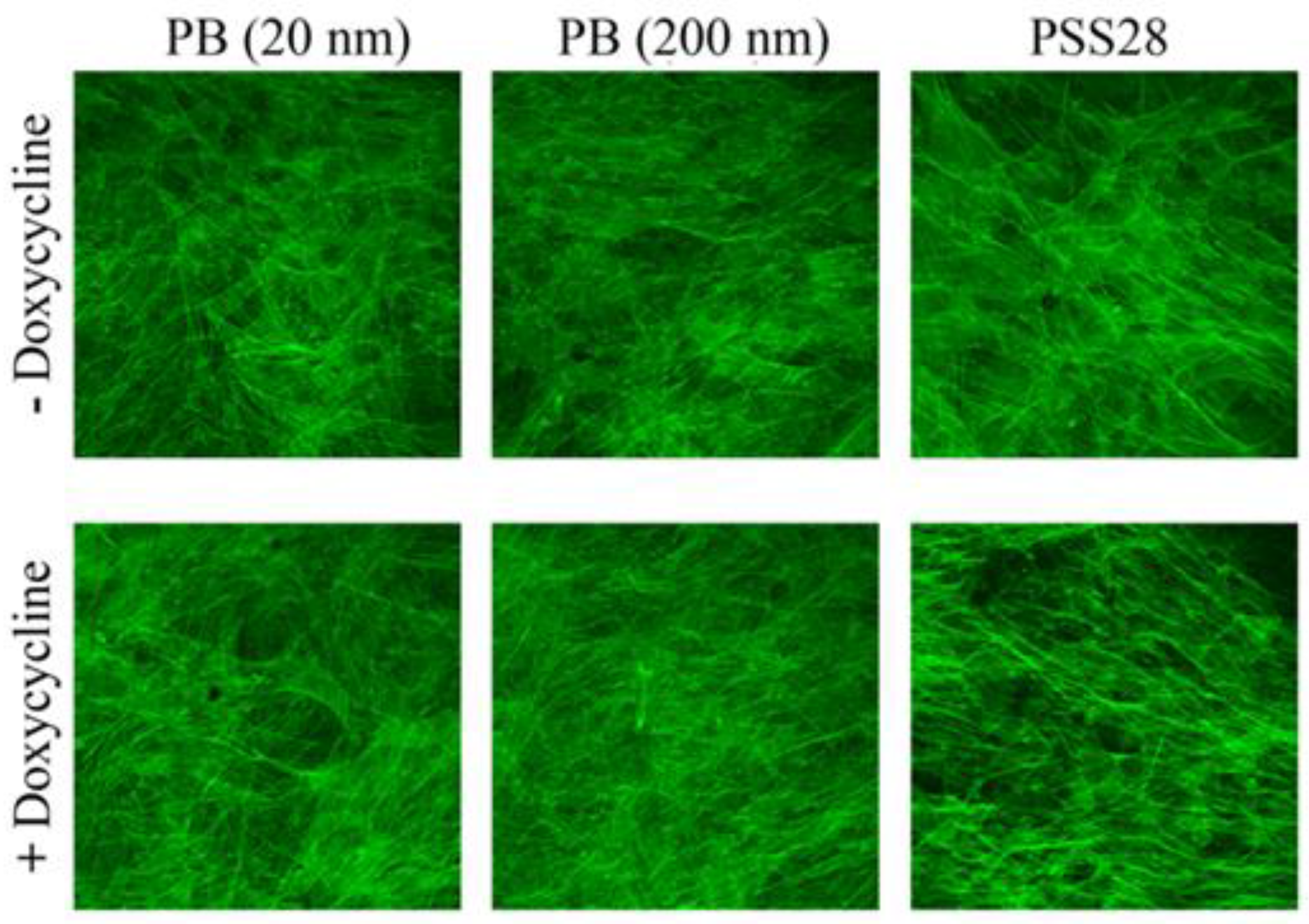 Coatings 09 00451 g001 Coatings 09 00451 g001