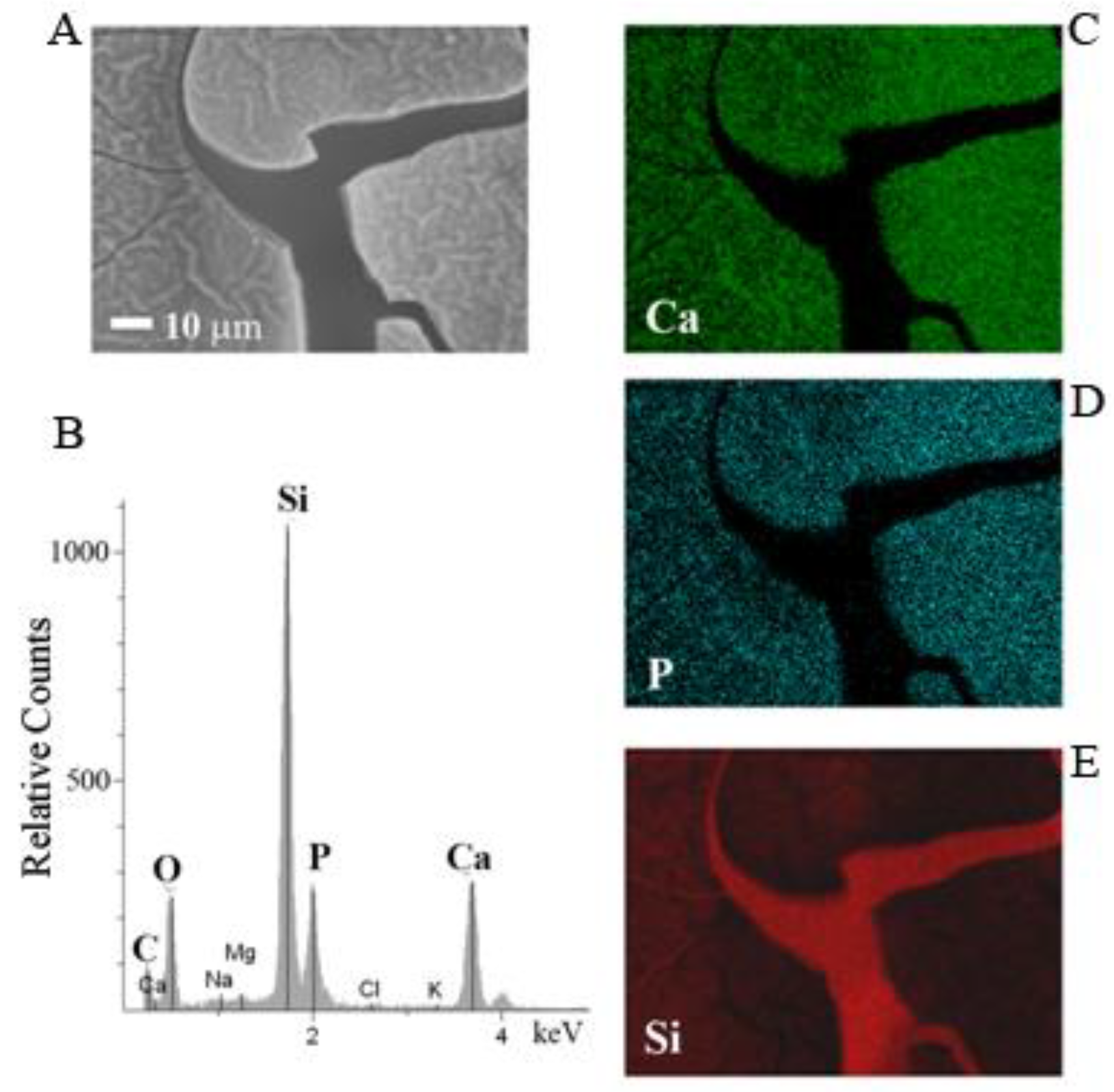 Coatings 09 00451 g005 Coatings 09 00451 g005