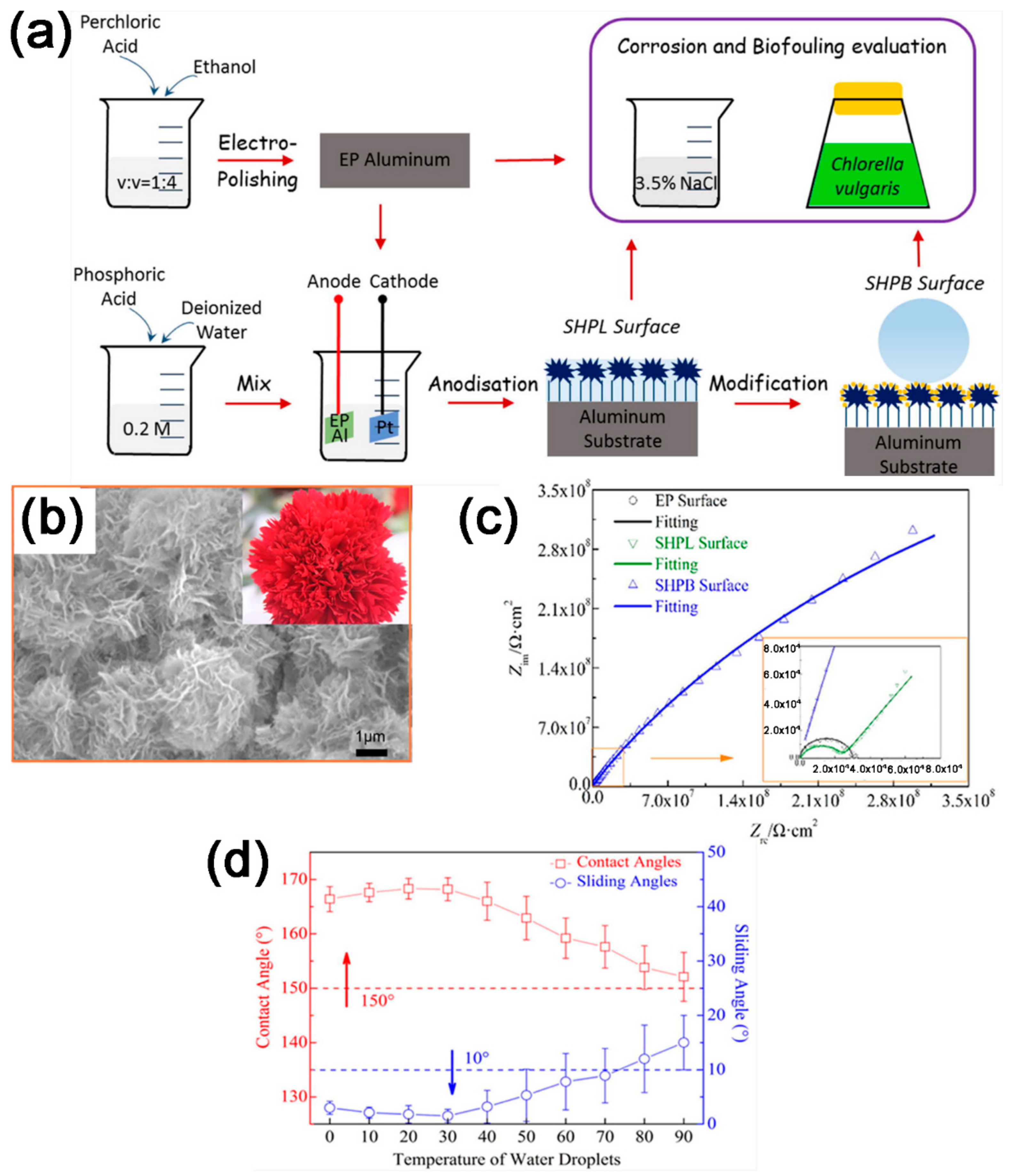 Coatings 09 00452 g004 Coatings 09 00452 g004