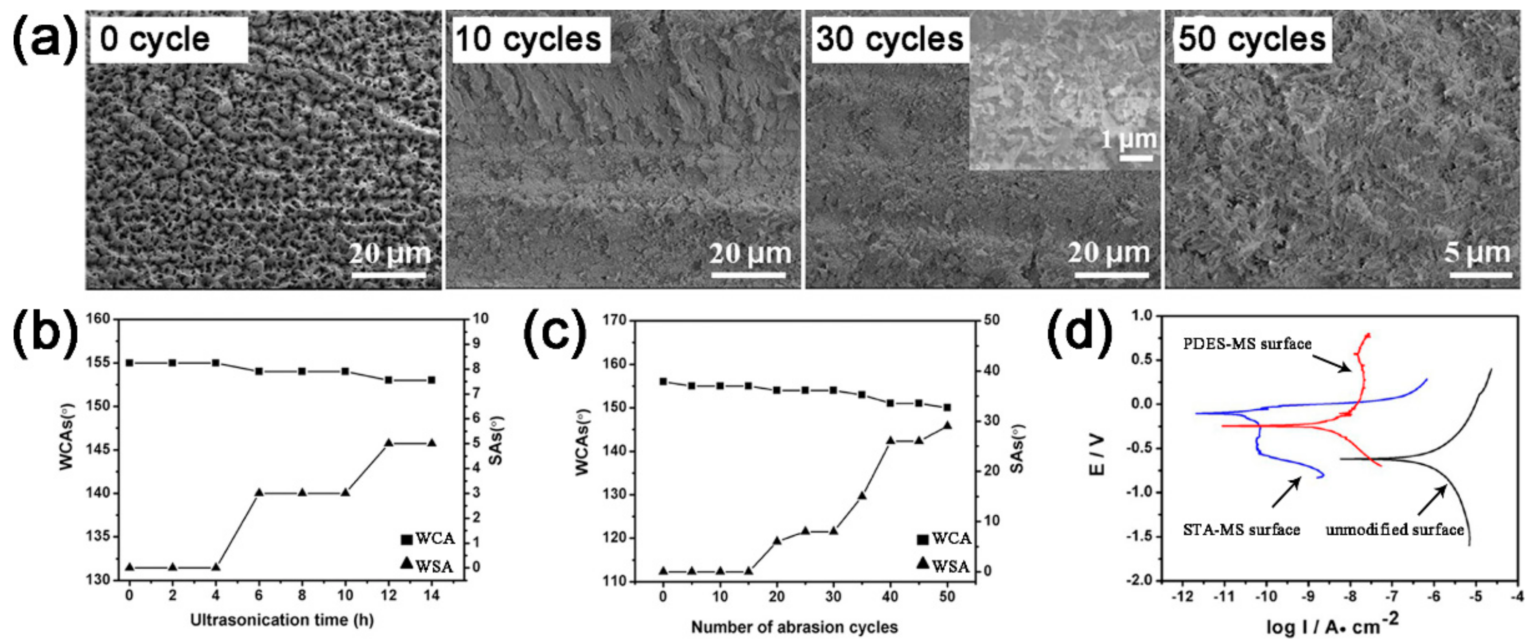 Coatings 09 00452 g005 Coatings 09 00452 g005