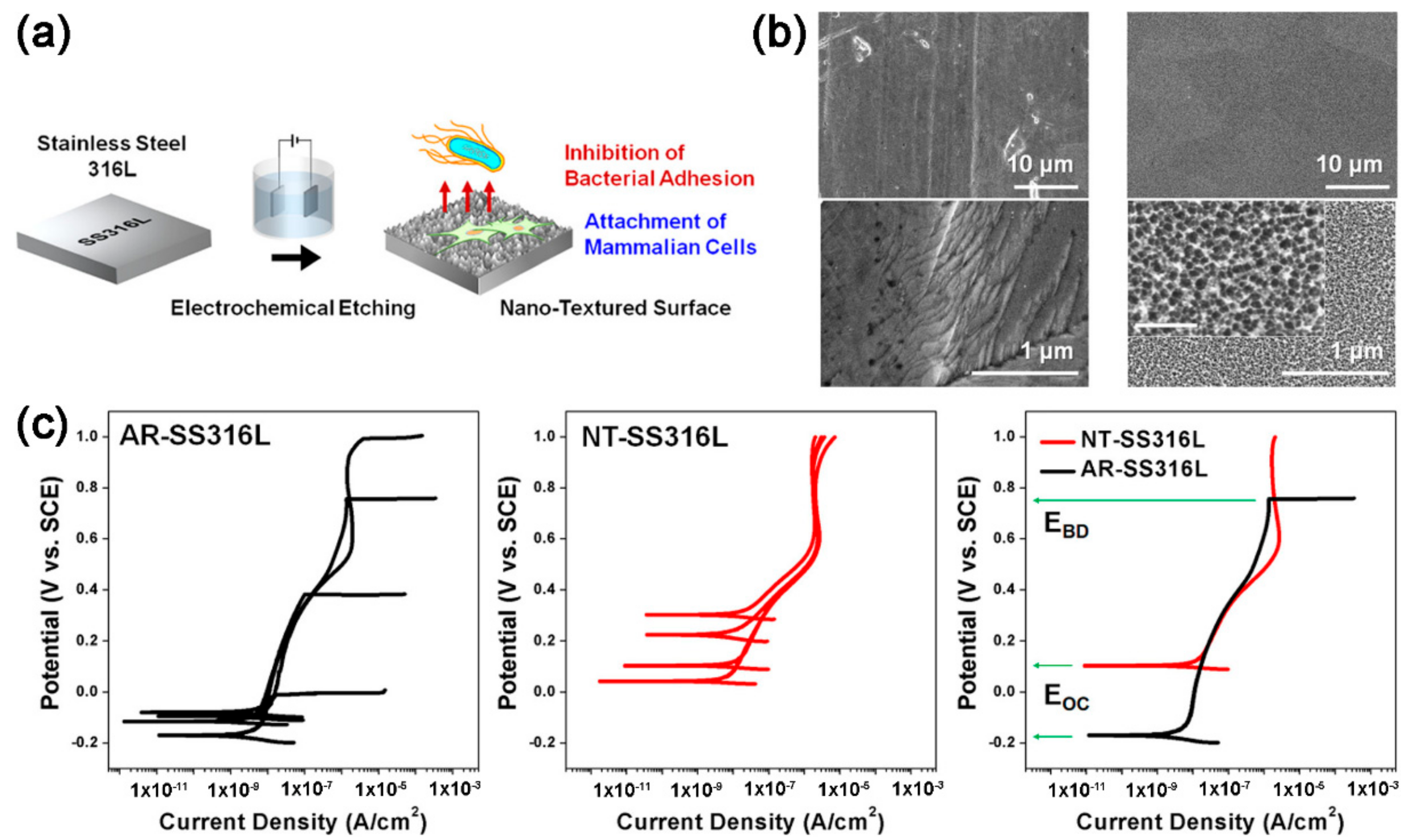 Coatings 09 00452 g012 Coatings 09 00452 g012