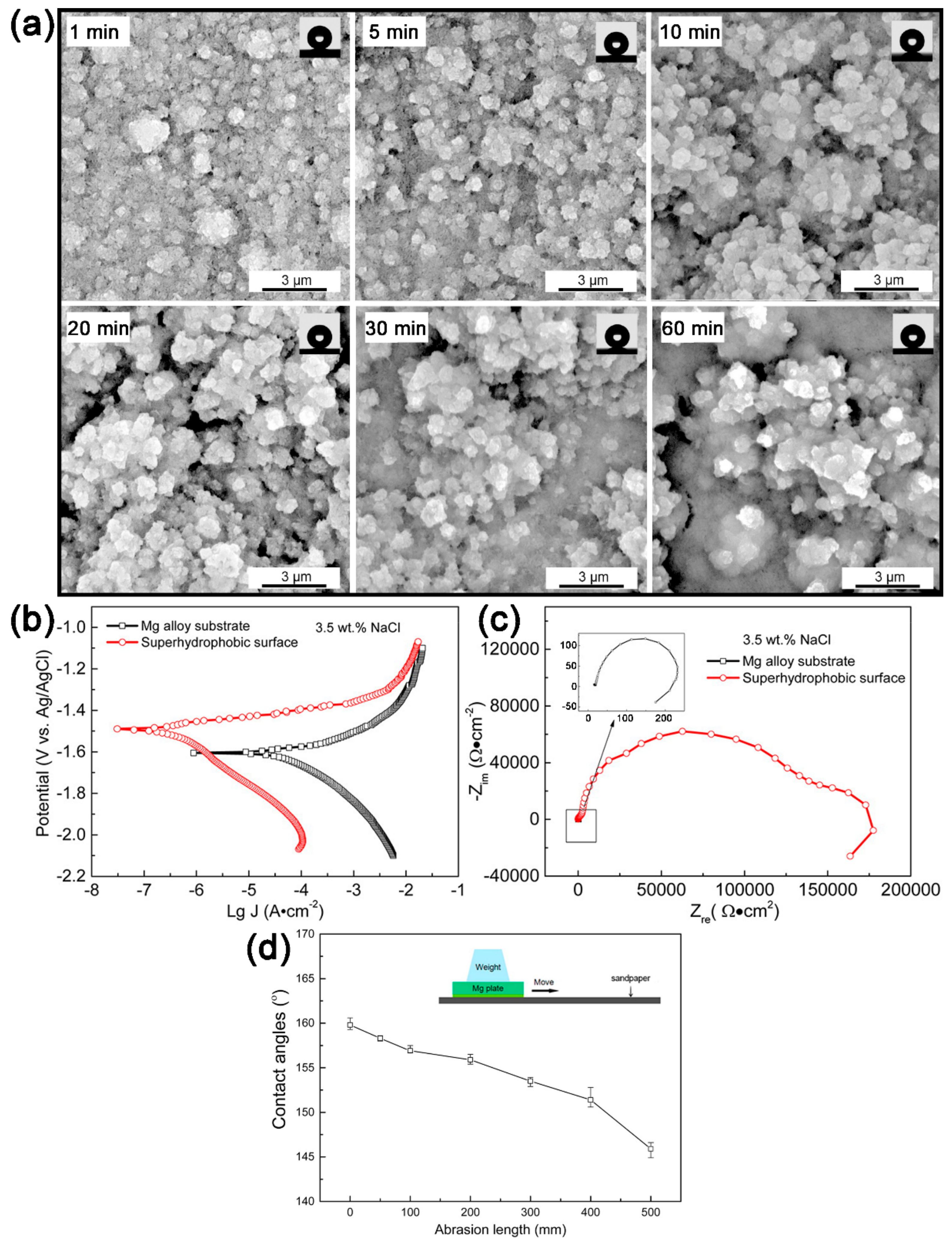 Coatings 09 00452 g013 Coatings 09 00452 g013